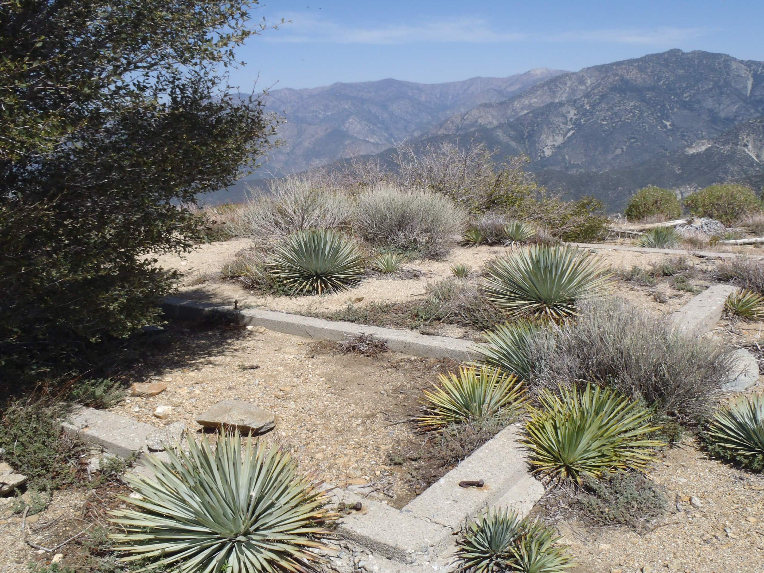 Dawn Mine and Sunset Trail Loop