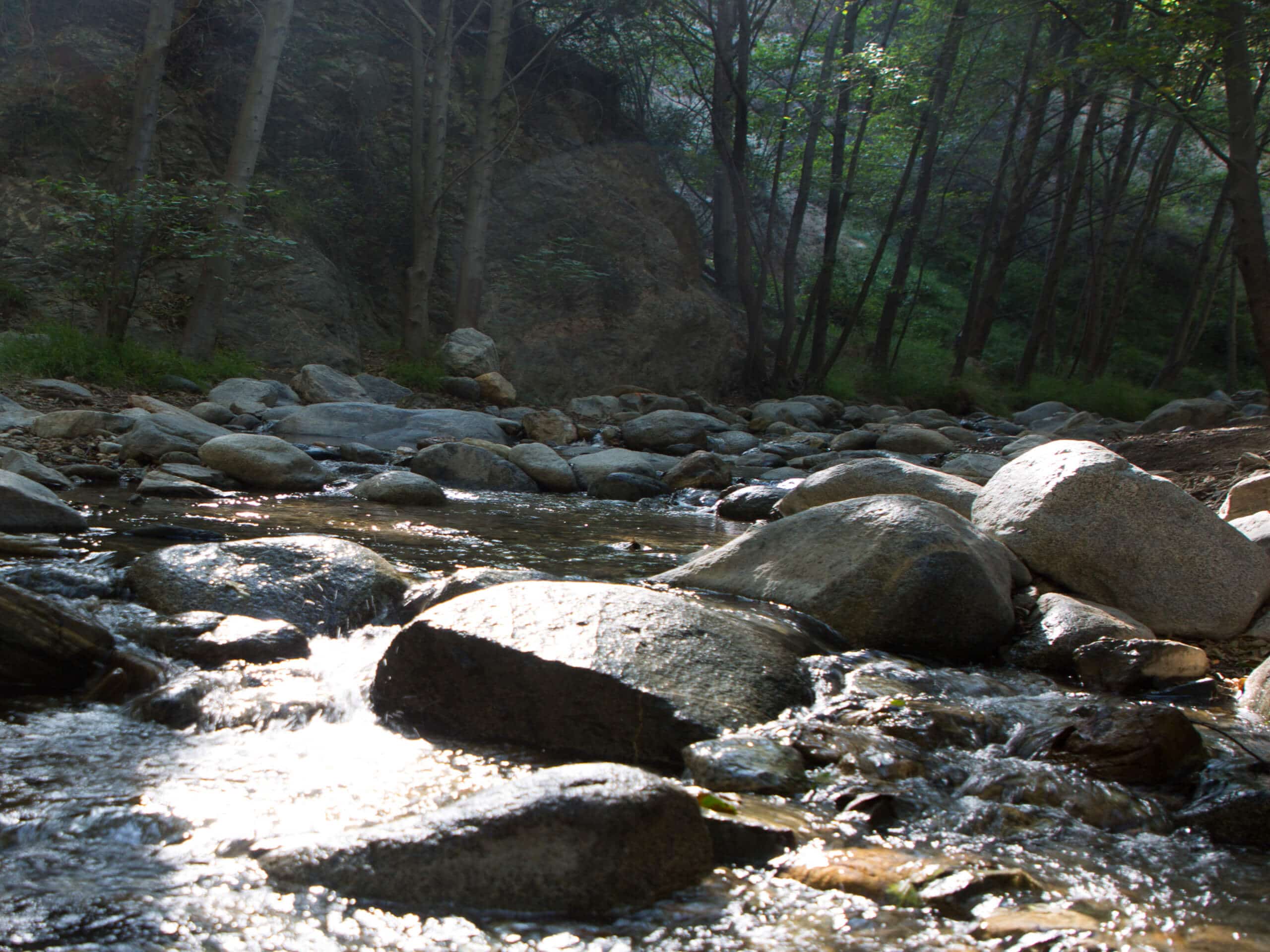 Eaton Canyon Trail