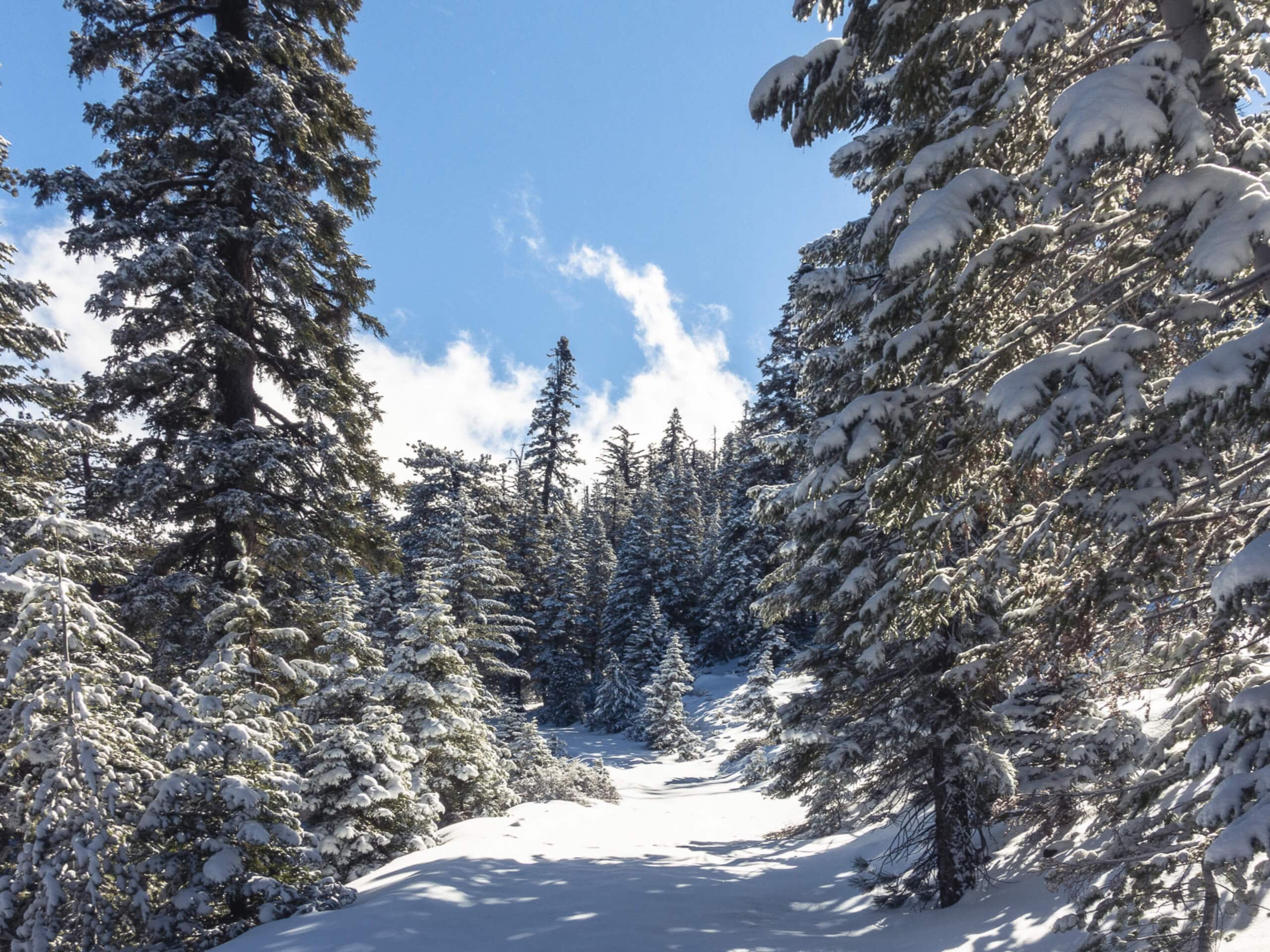 Mount Islip via Little Jimmy Campground Hike Map