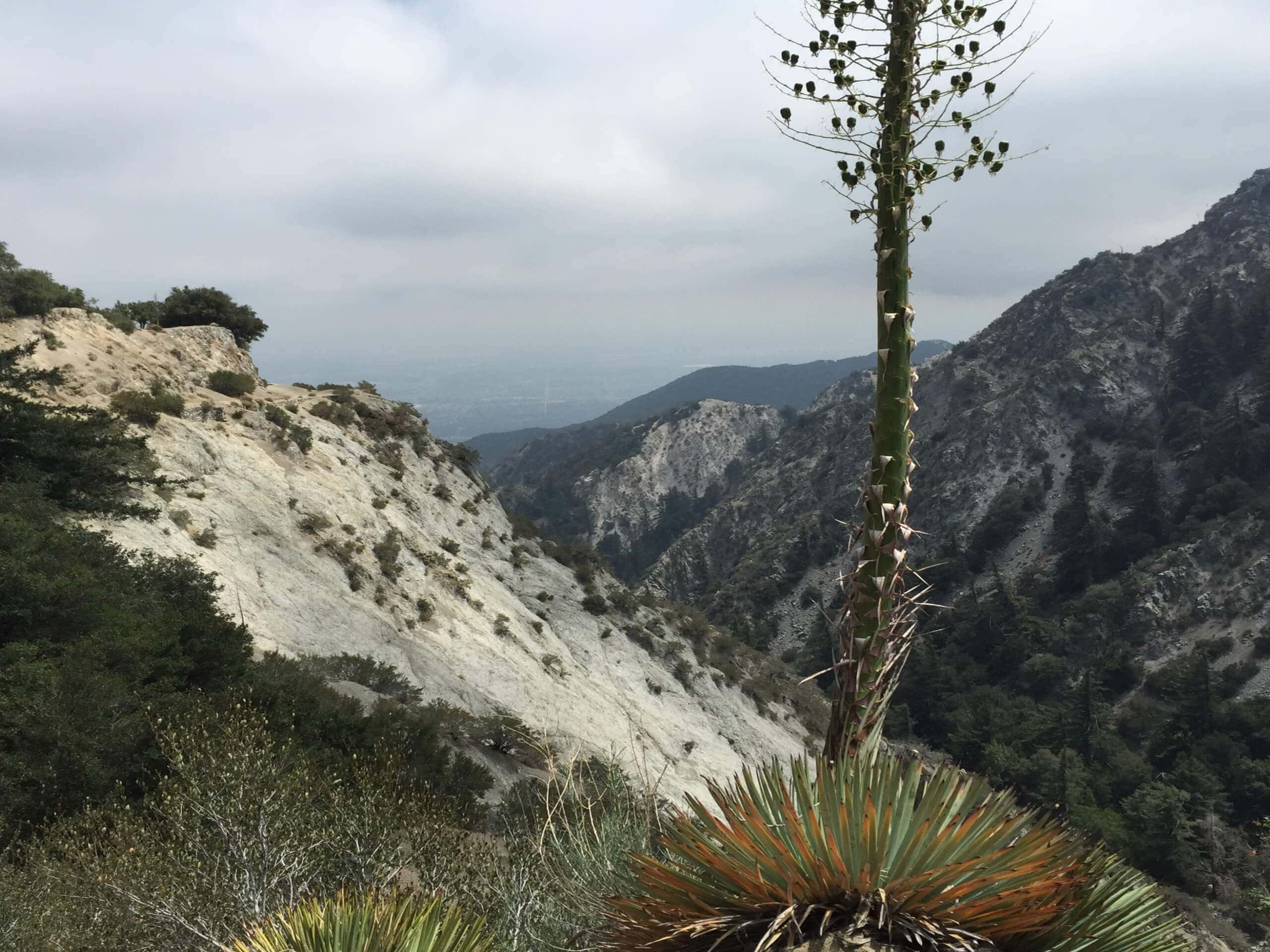 Mount Lowe Railway Loop Trail