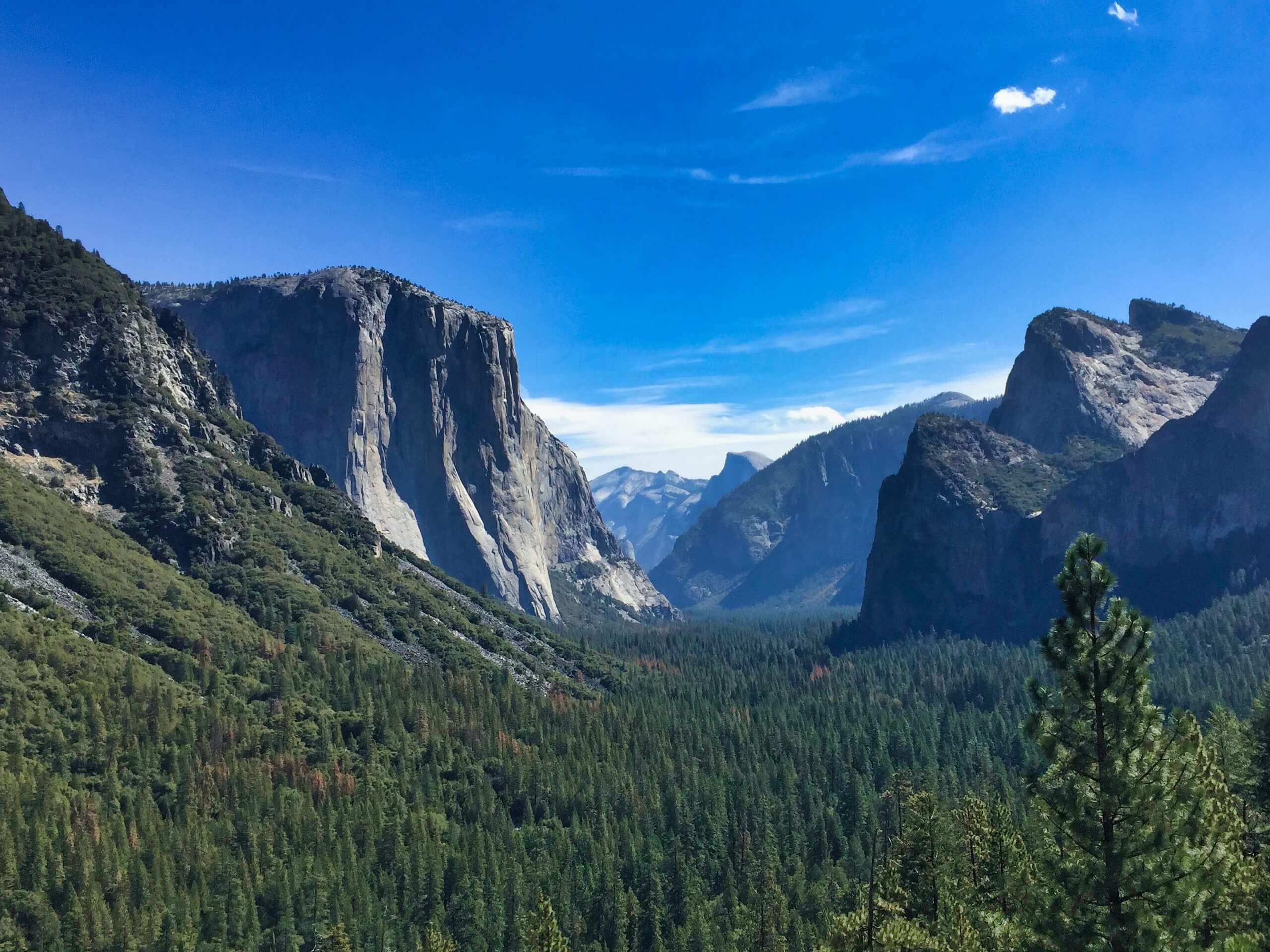 Artist Point Trail