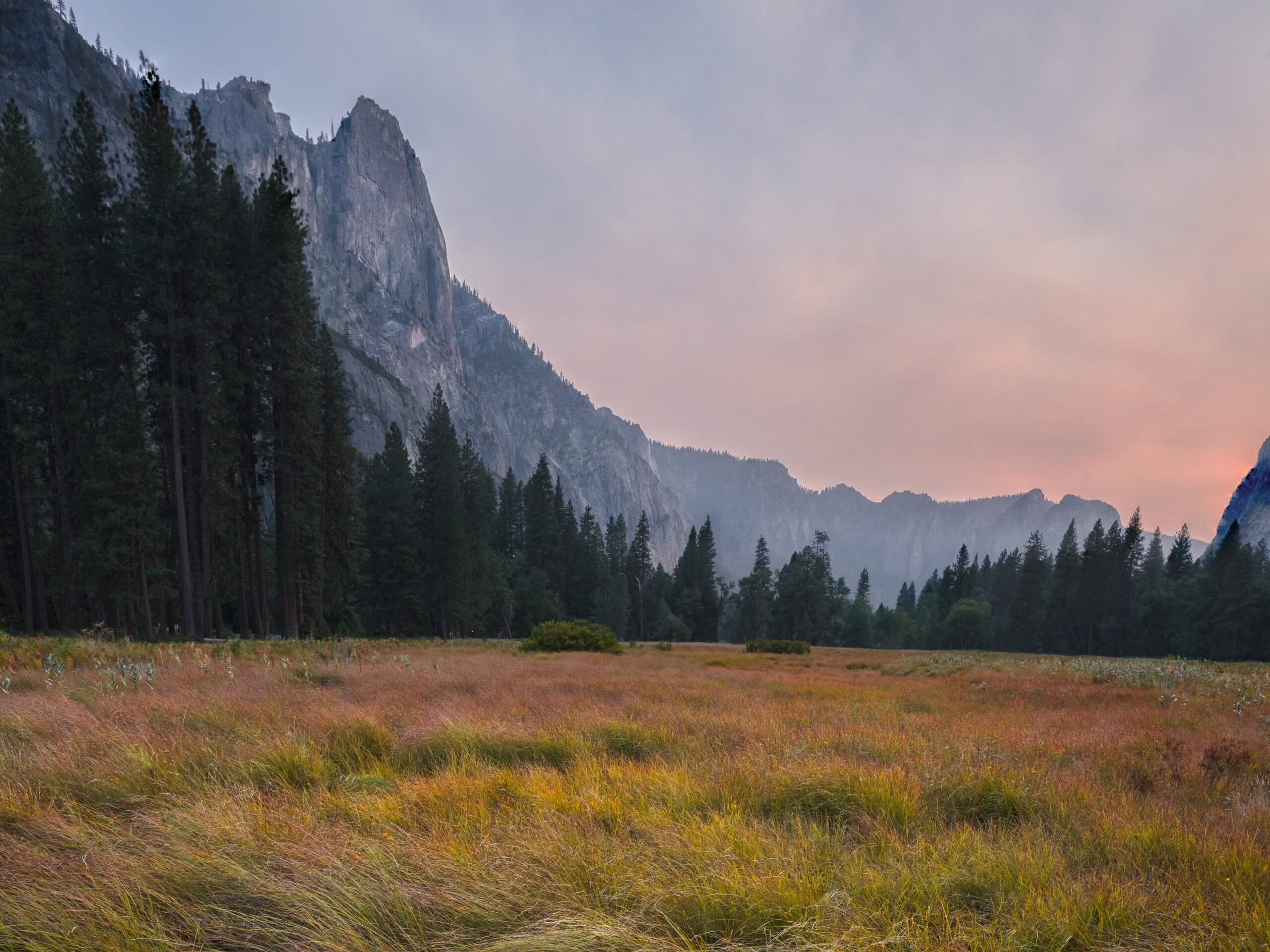 Cook’s Meadow Loop Trail