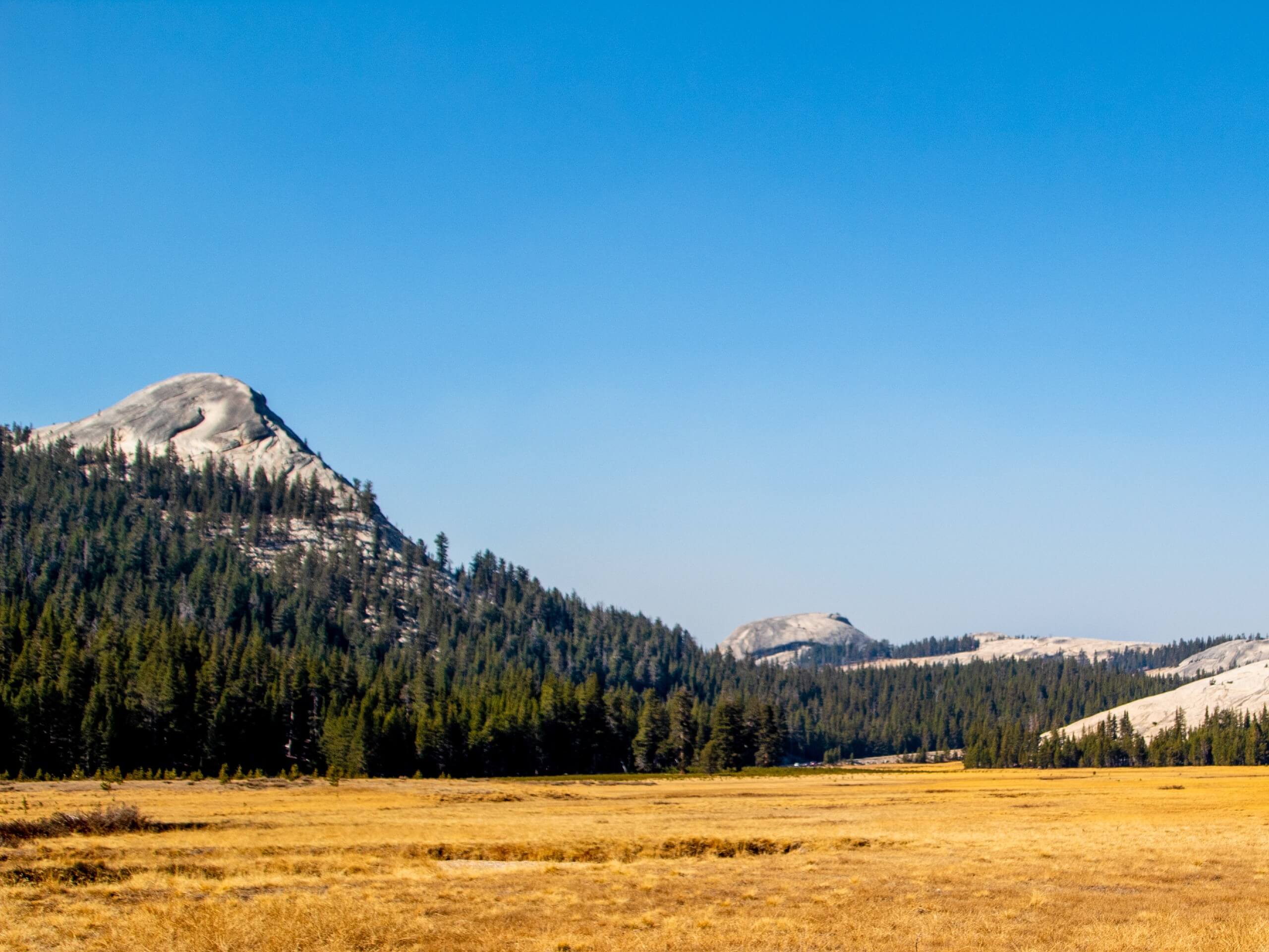 Lembert Dome from Tuolumne Meadows Lodge Road