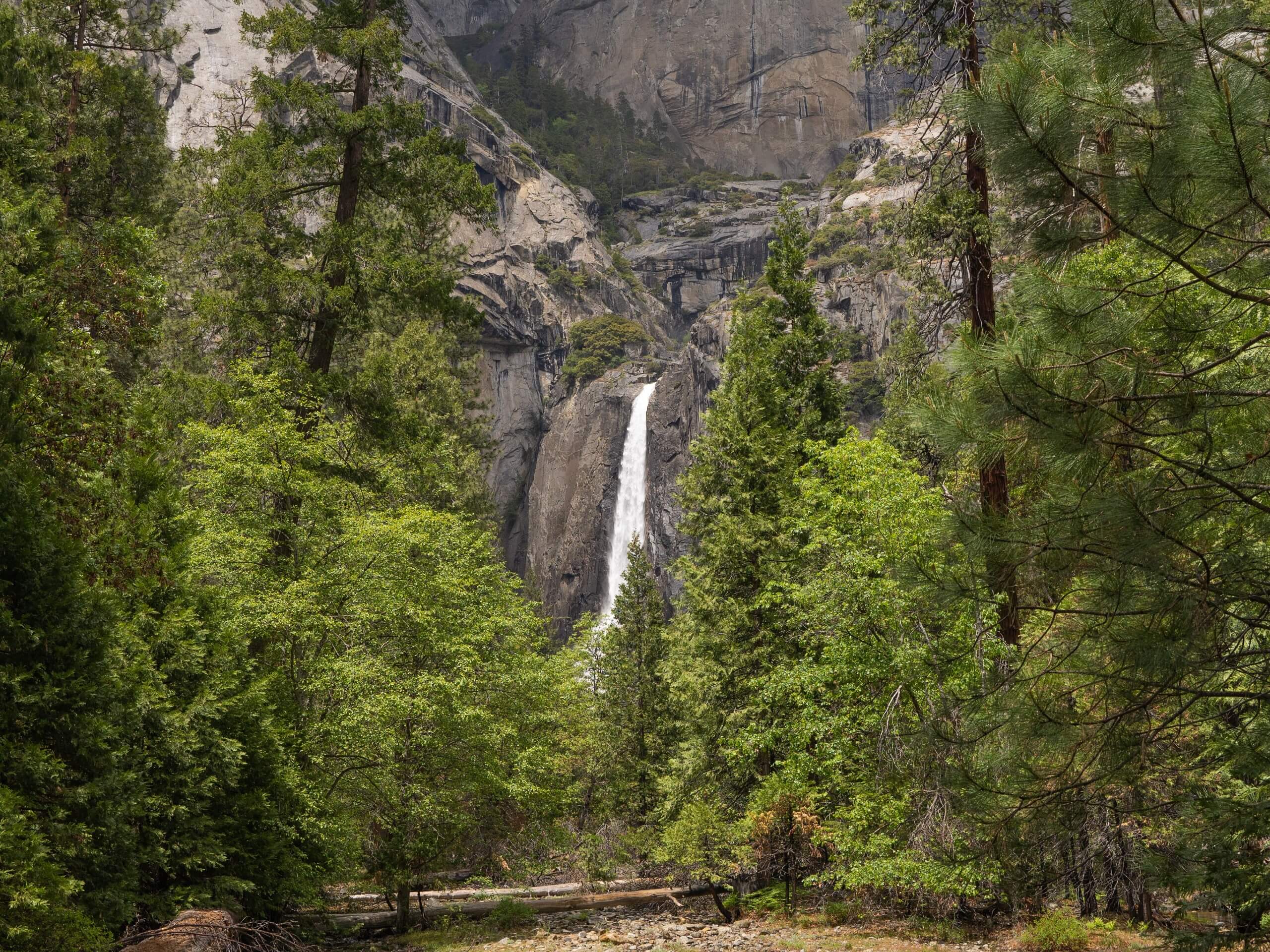 Lower Yosemite Falls Trail