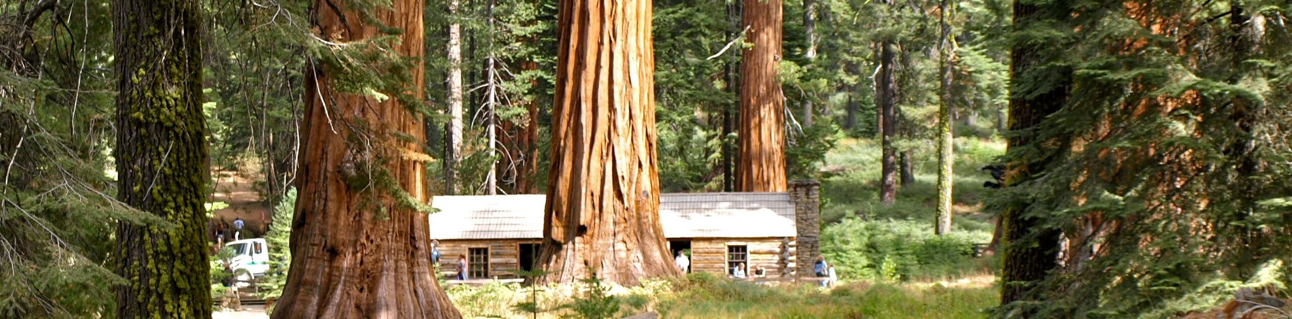 Mariposa Cabin Trail