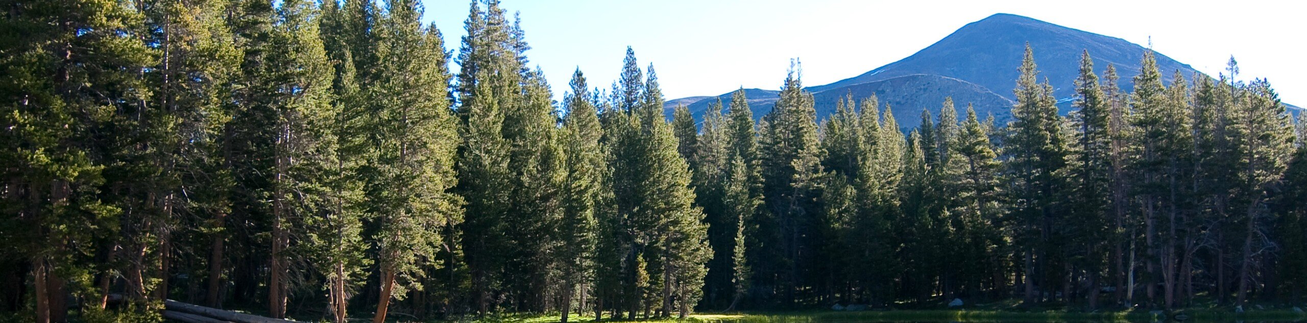 Mono Meadow Trail