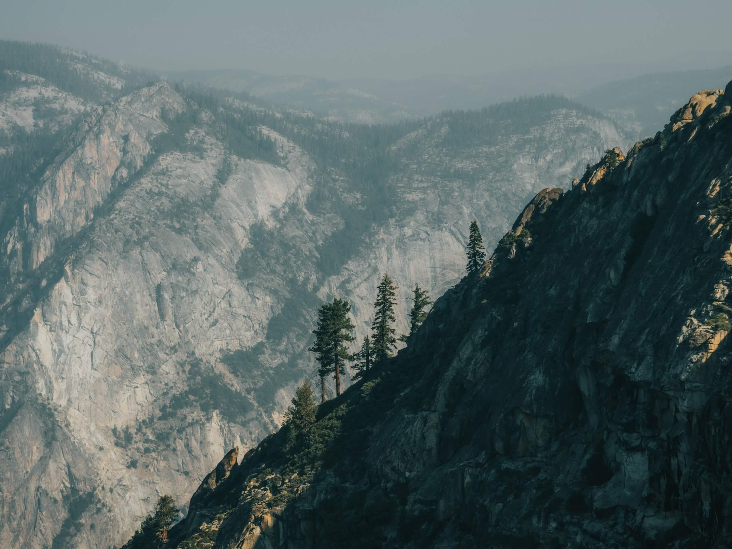 Taft Point and the Fissures Hike