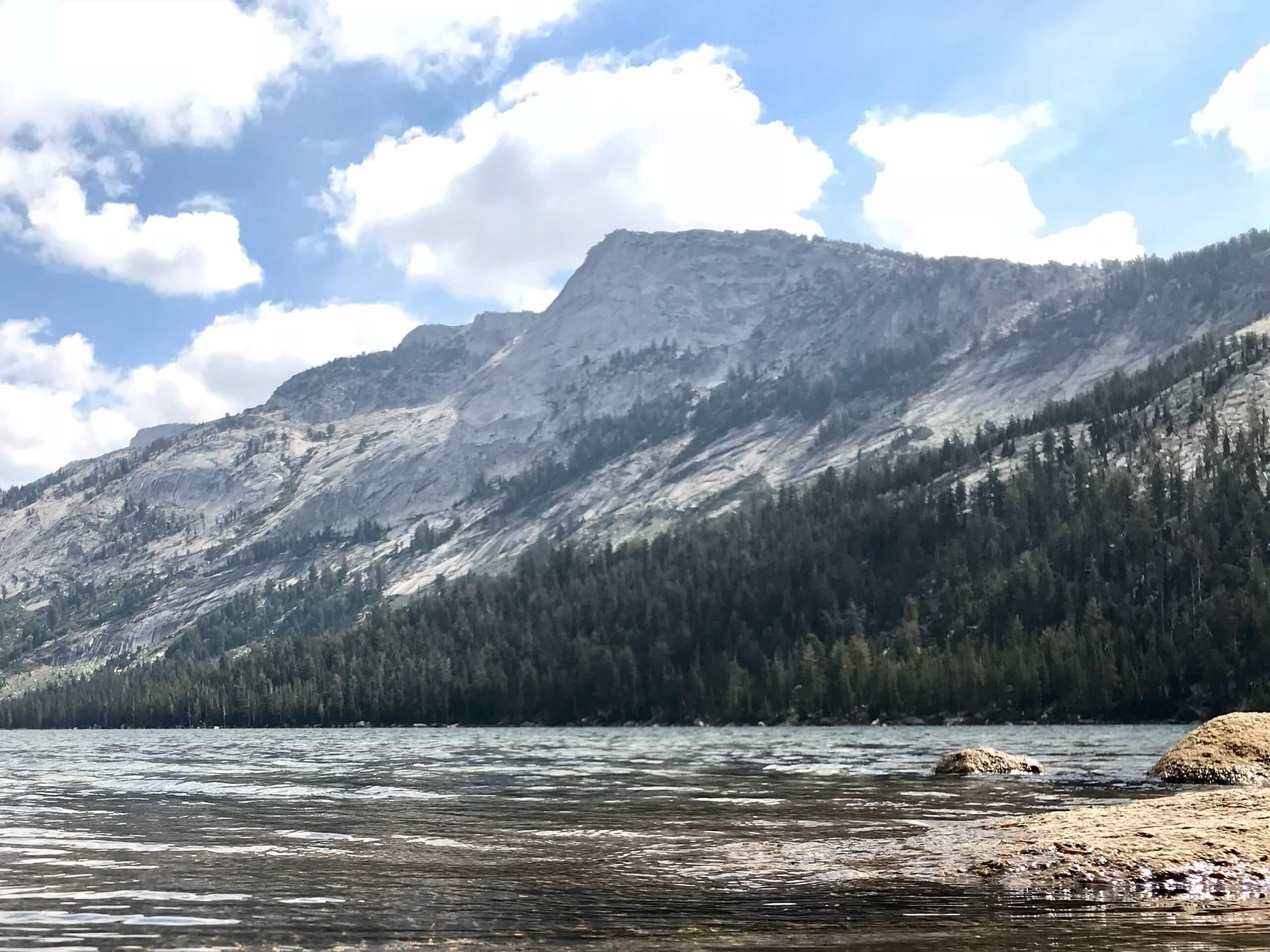 Tenaya Lake Trail