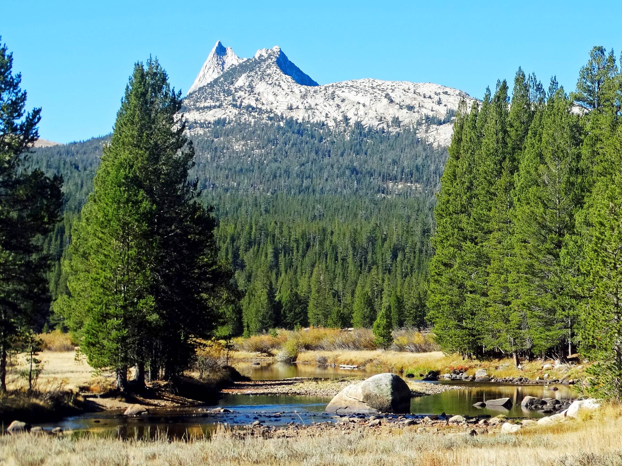 Tuolumne Meadow to Cathedral Pass Hike