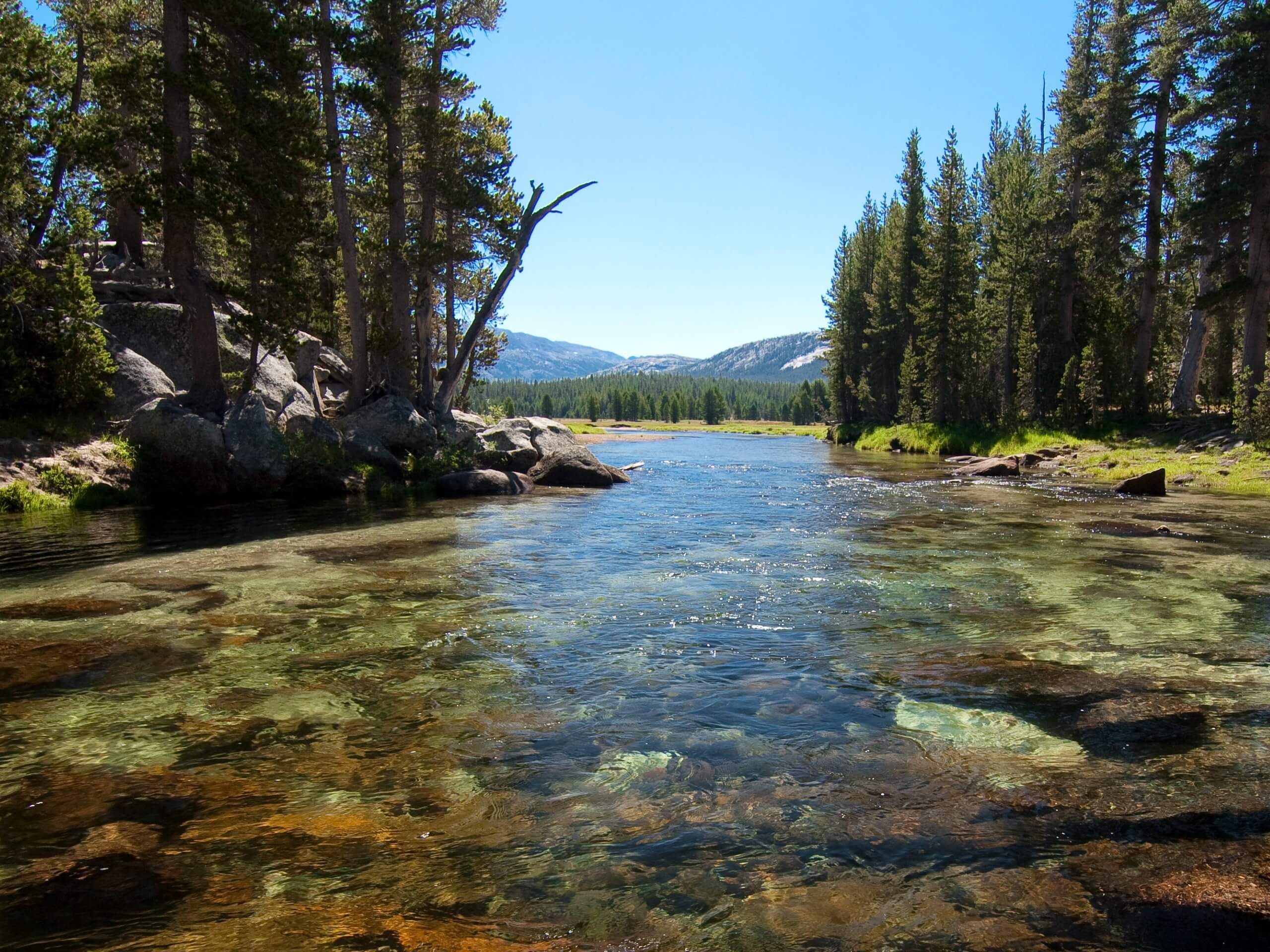 Tuolumne River Trail