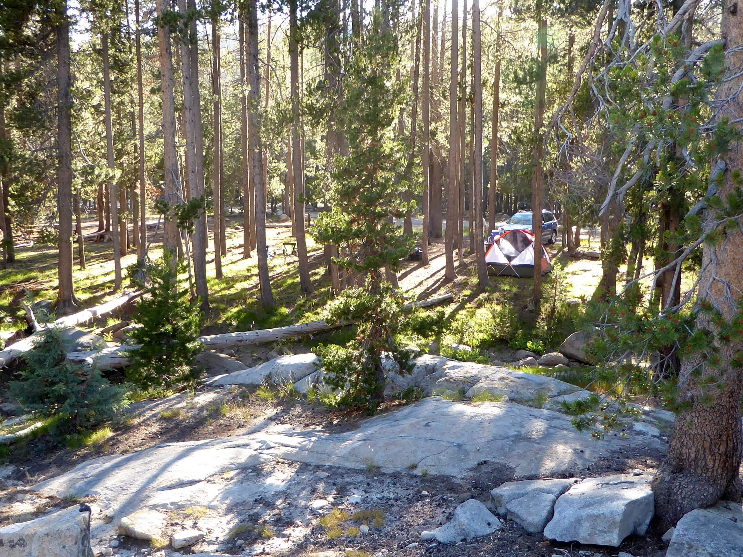 Yosemite Creek Campground Hike