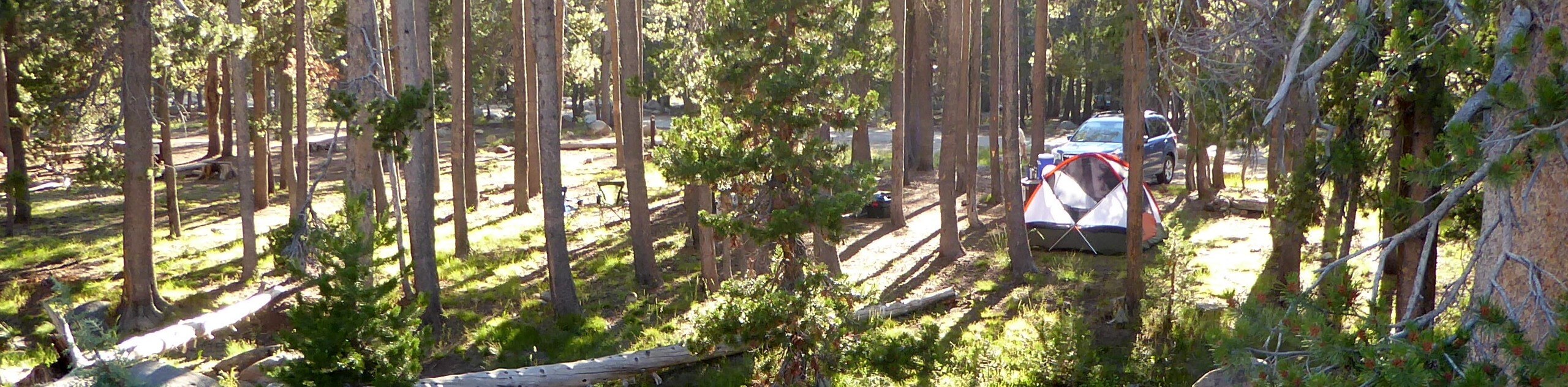 Yosemite Creek Campground Hike