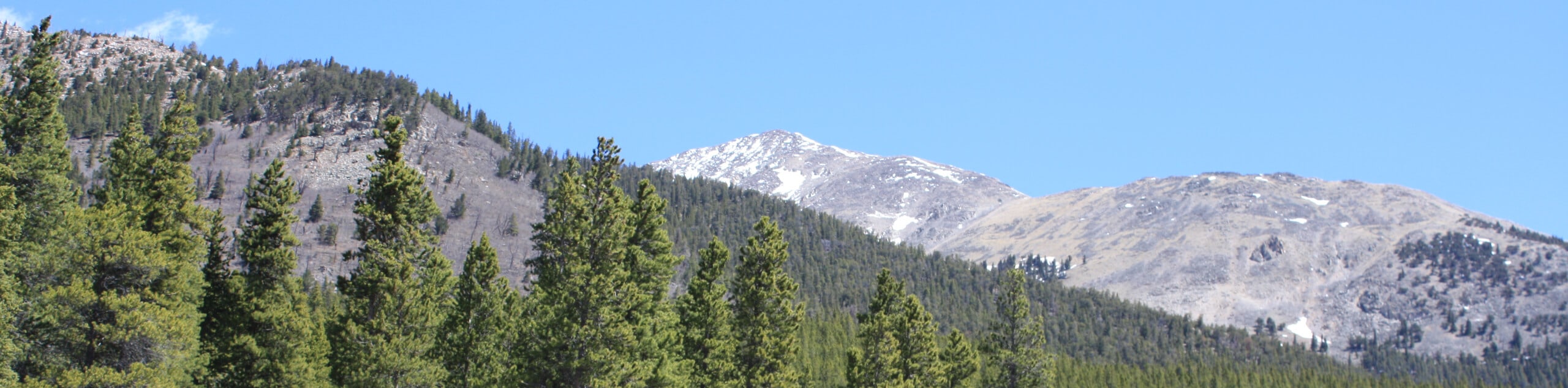 Colorado Trail Segment 13 via South Cottonwood Trailhead