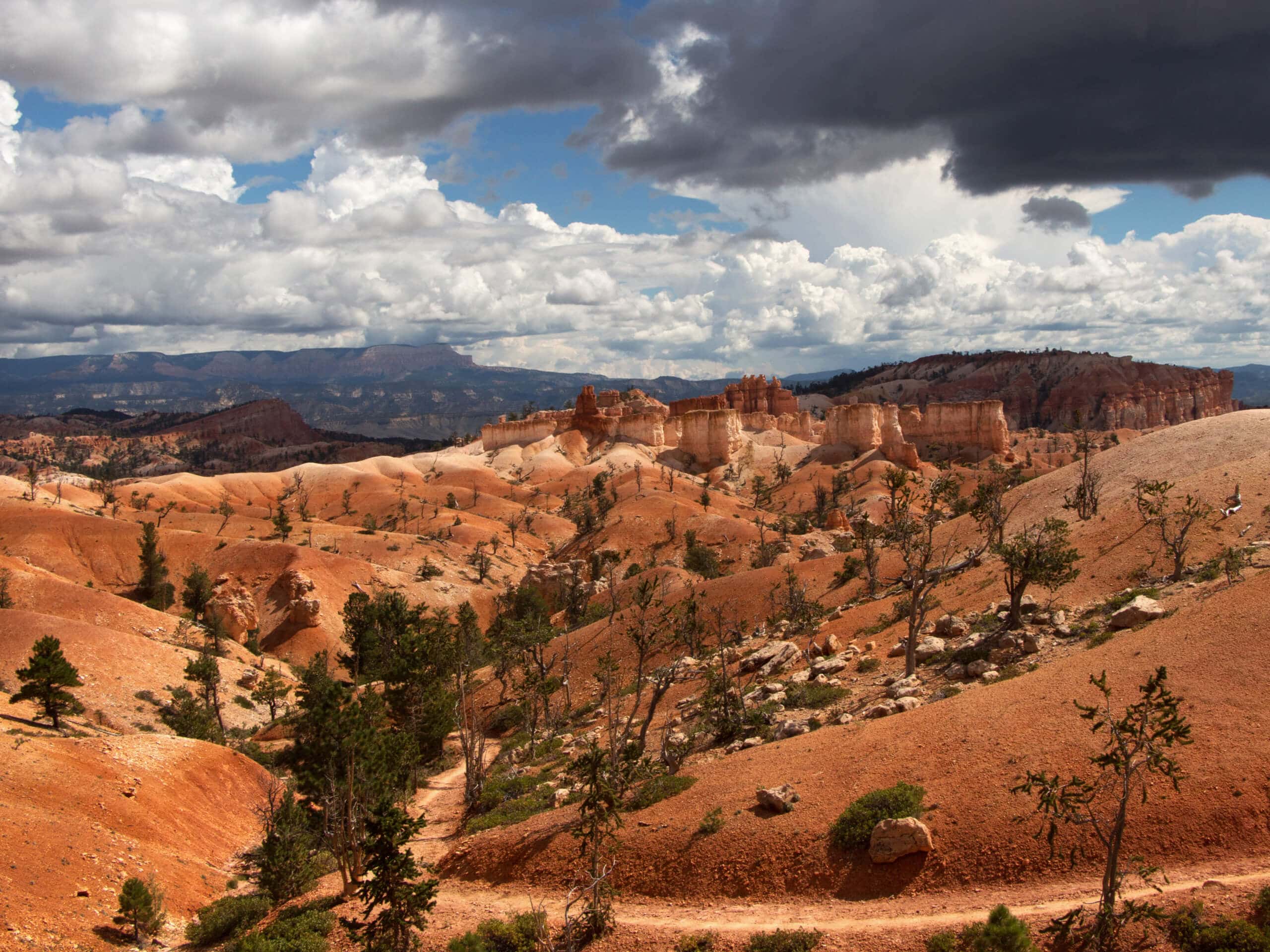 Bryce Horse Trail