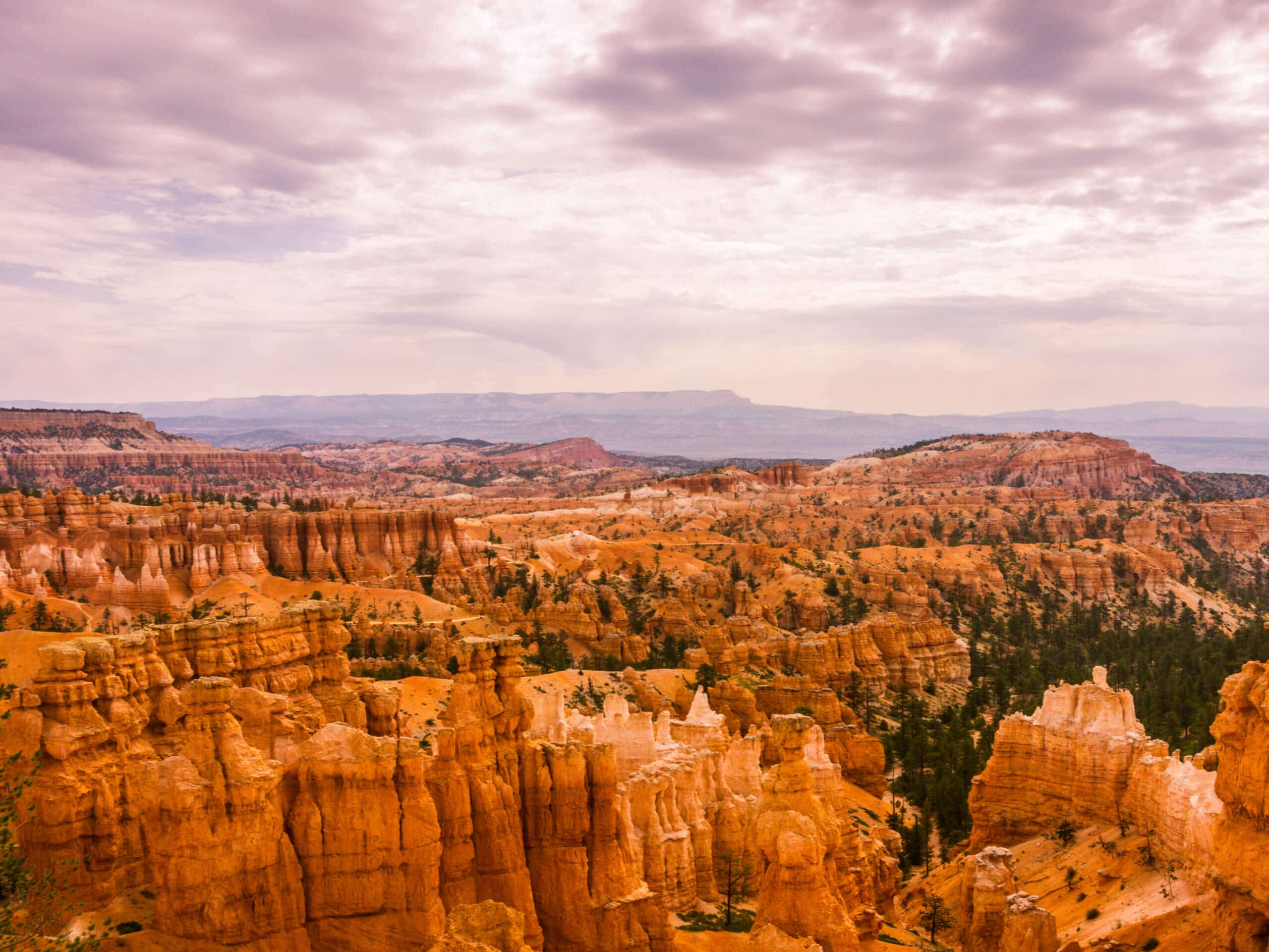 The Navajo Loop to Peekaboo Loop Trail