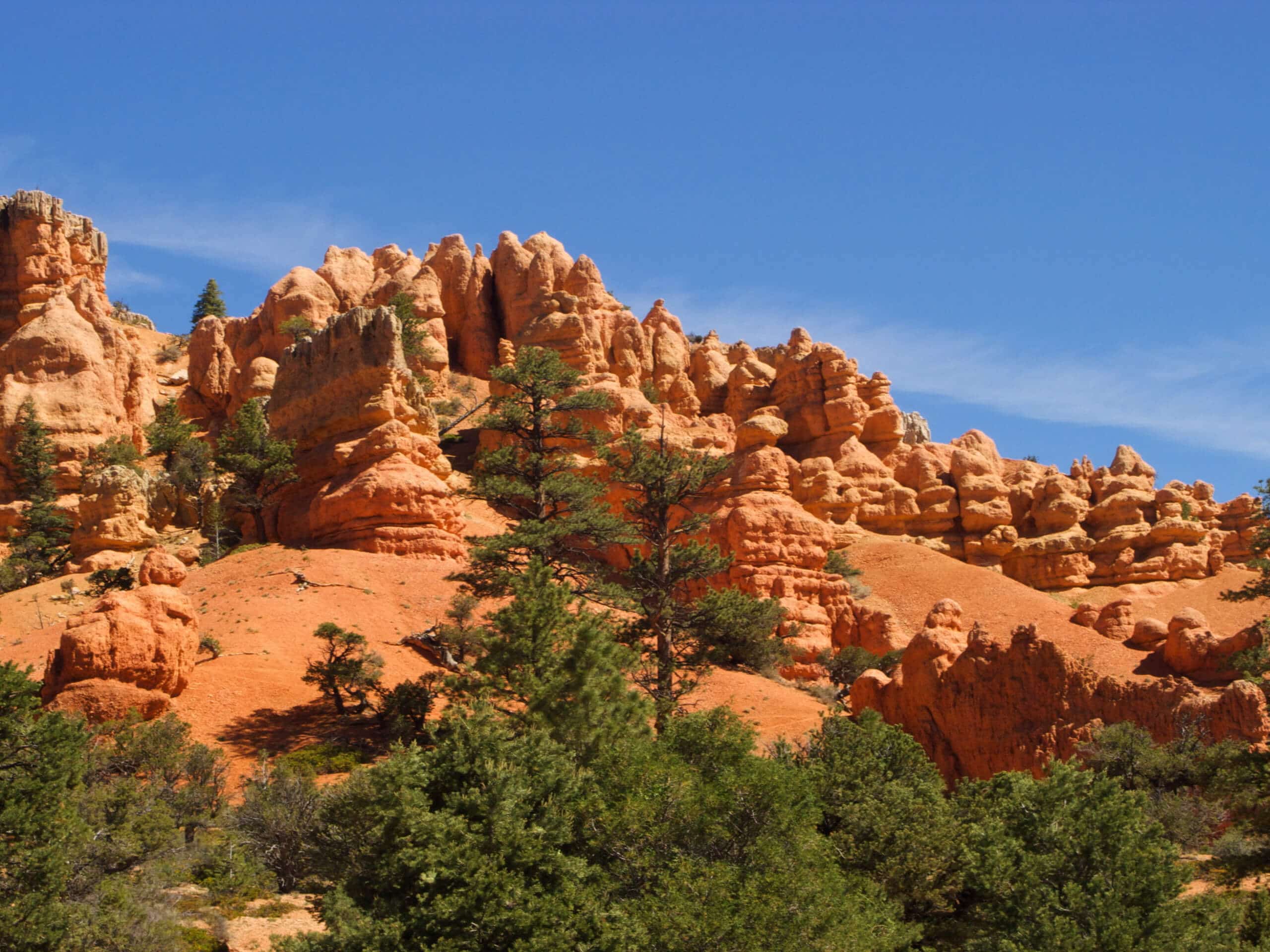 Rim Trail, Navajo Loop, and Peekaboo Circuit