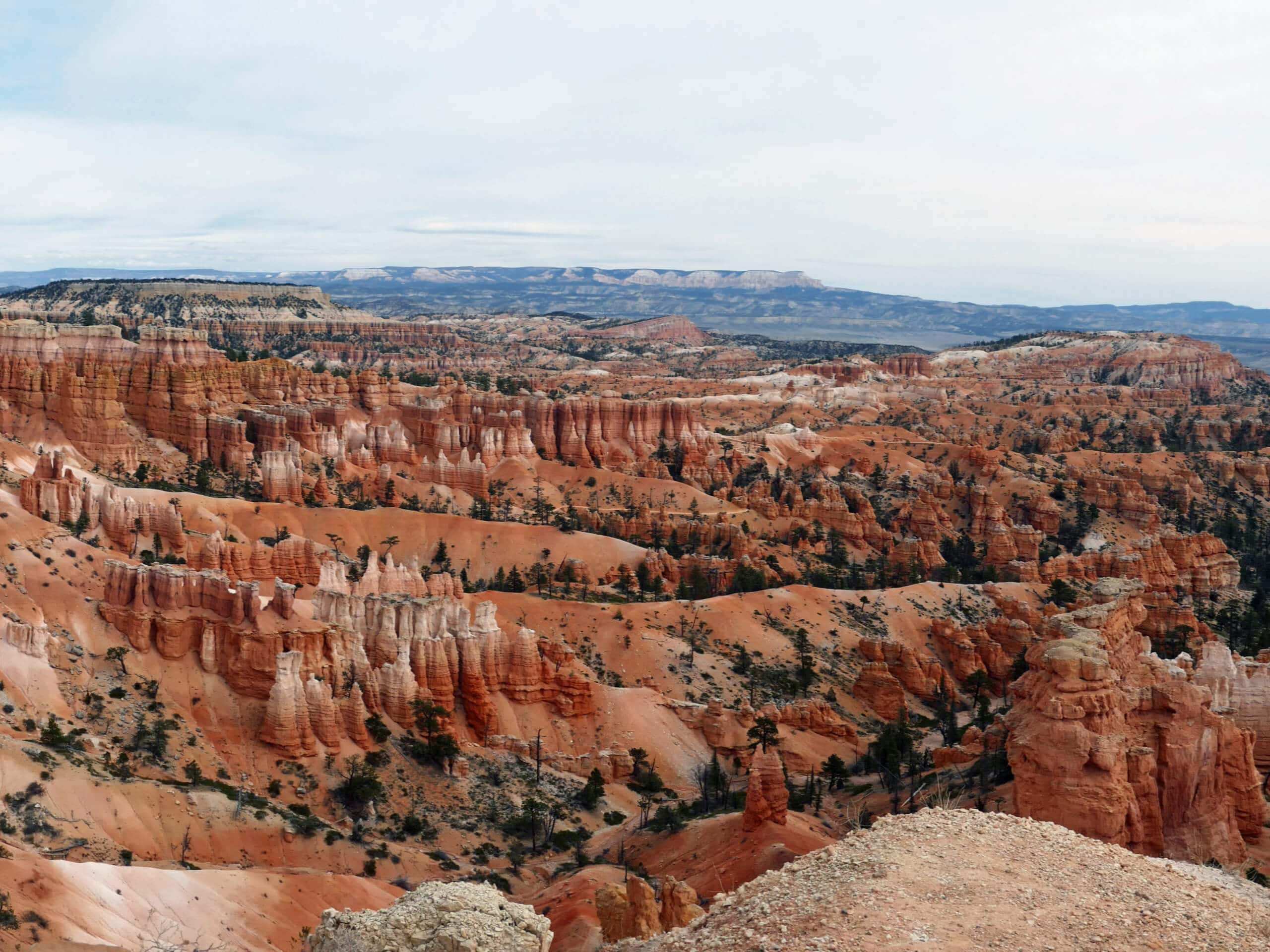 The Bryce Transverse Trail