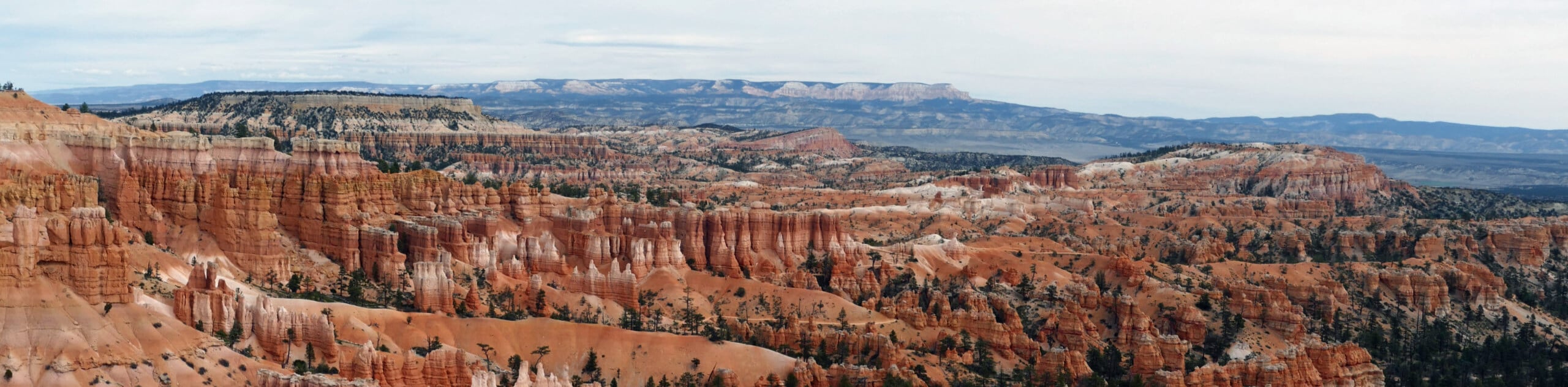 The Bryce Transverse Trail