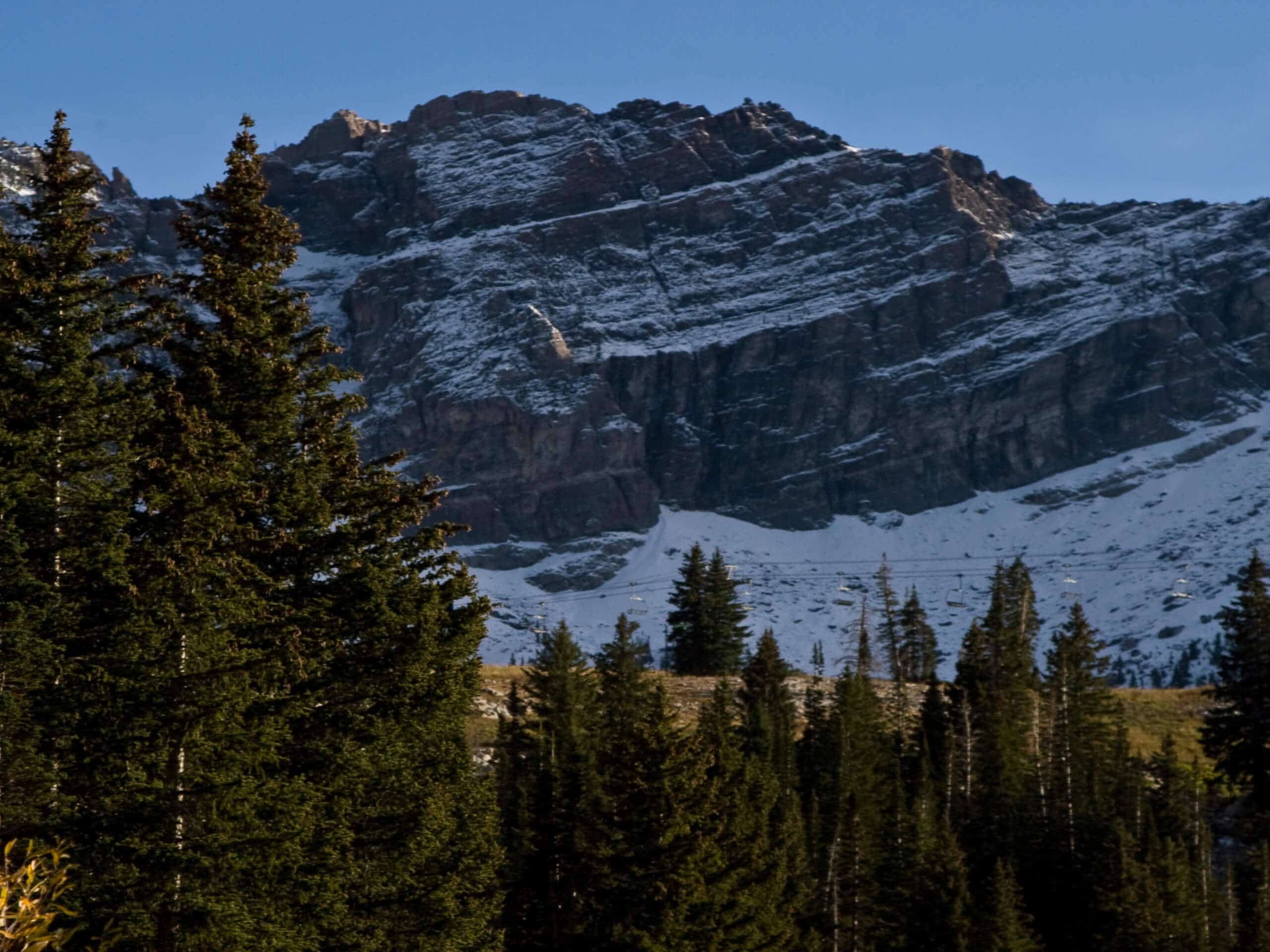 Albion Meadows Trail