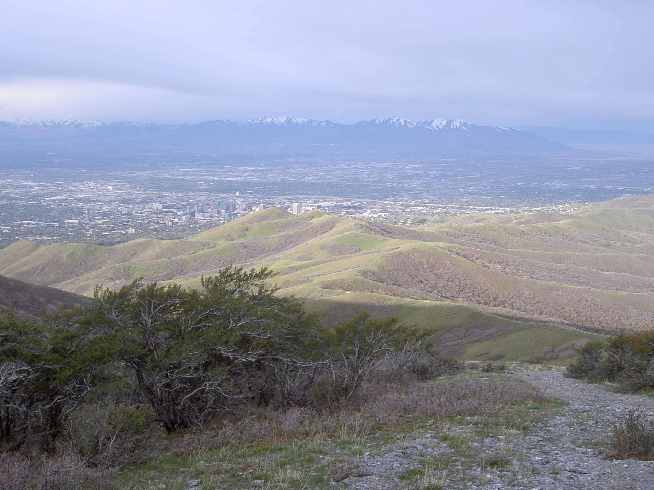 Avenue Twin Peaks Trail