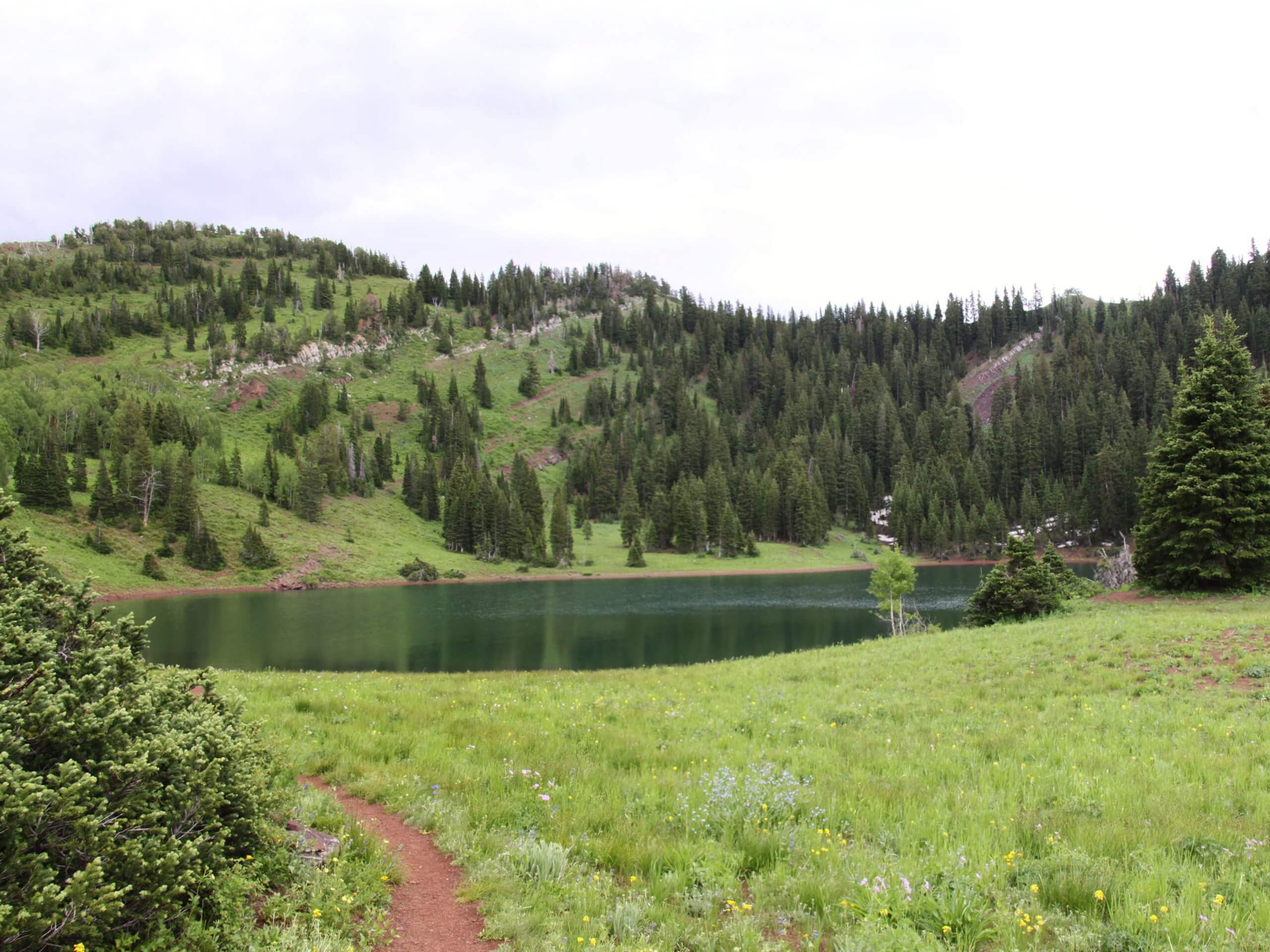 Beartrap Fork and Desolation Lake Trail