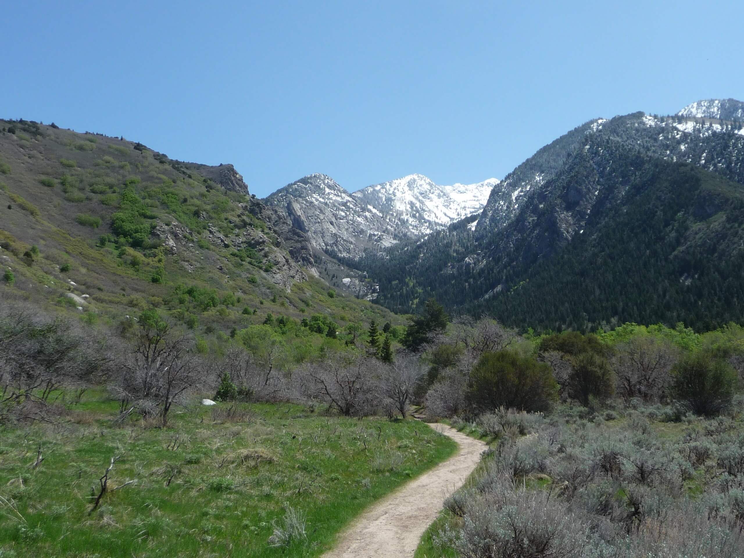 Bells Canyon Trail to Ridgeline