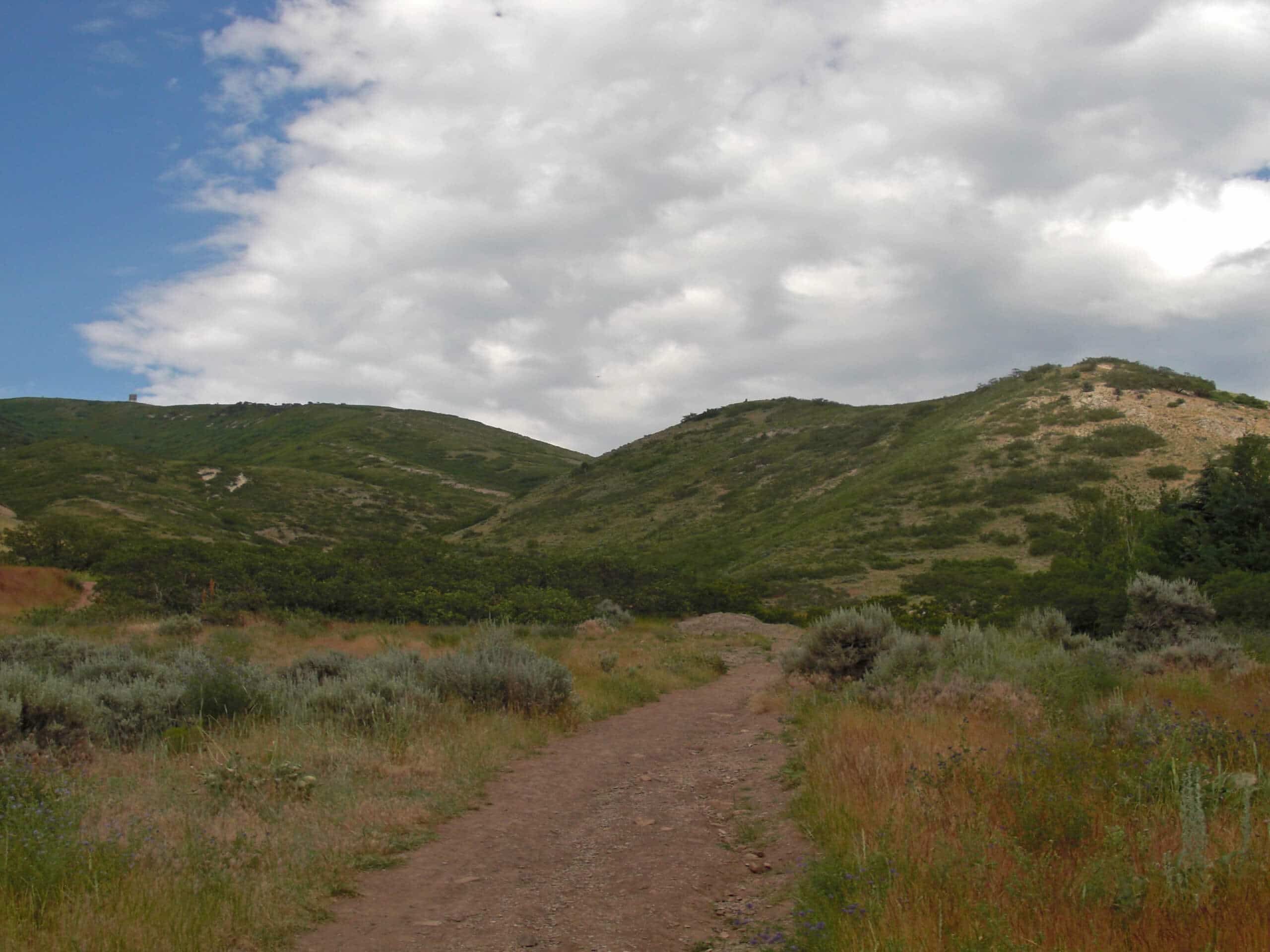 Bonneville Shoreline Trail: Emigration Canyon Road to City Creek