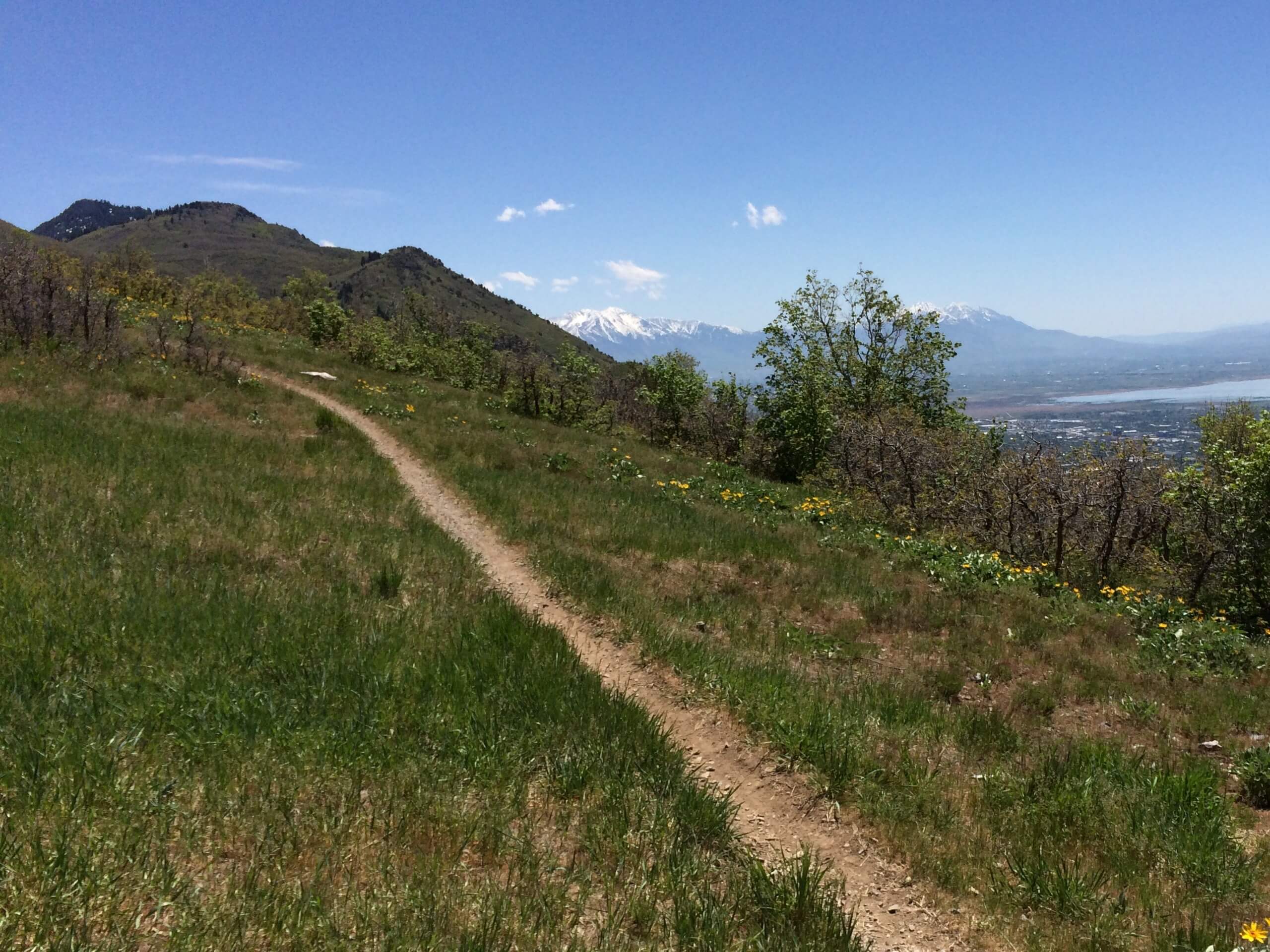 Bonneville Shoreline Trail: Y Mountain to Springville