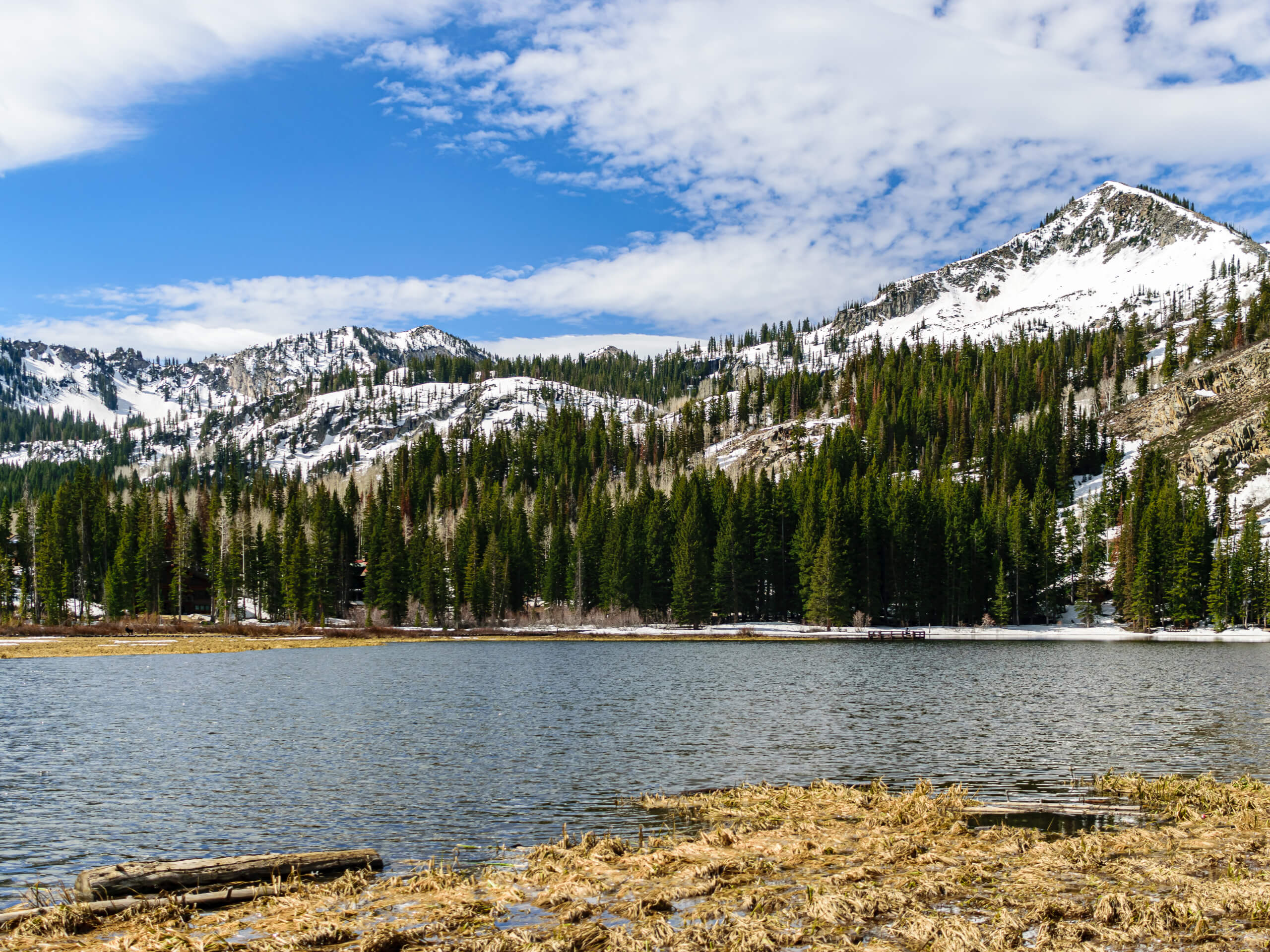 Brighton Lakes Loop