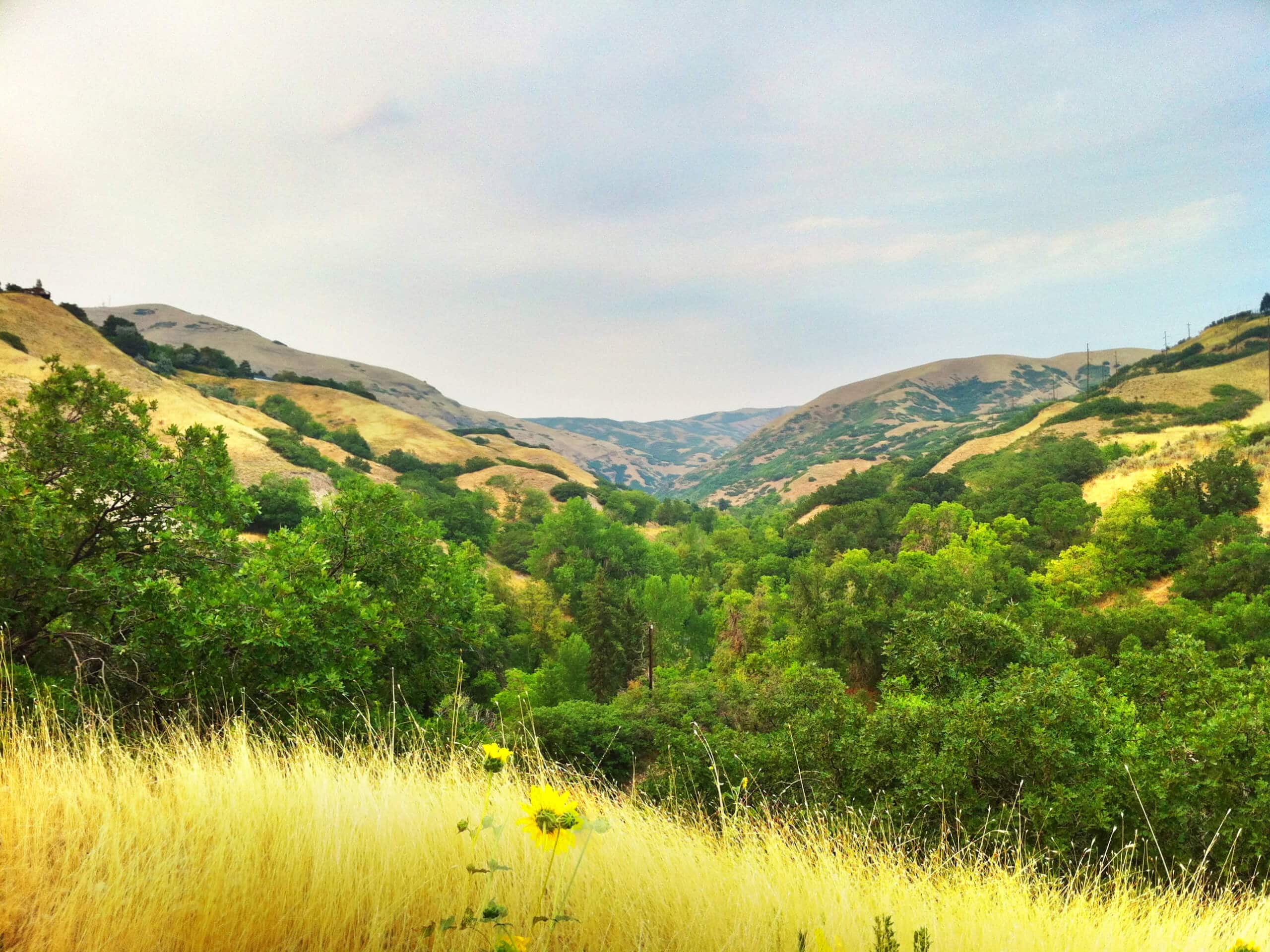 City Creek Canyon Road