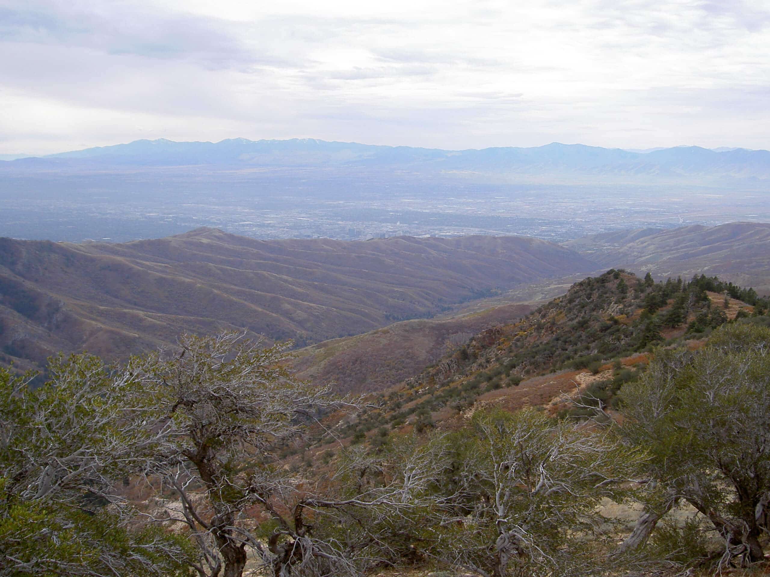 City Creek Canyon Trail