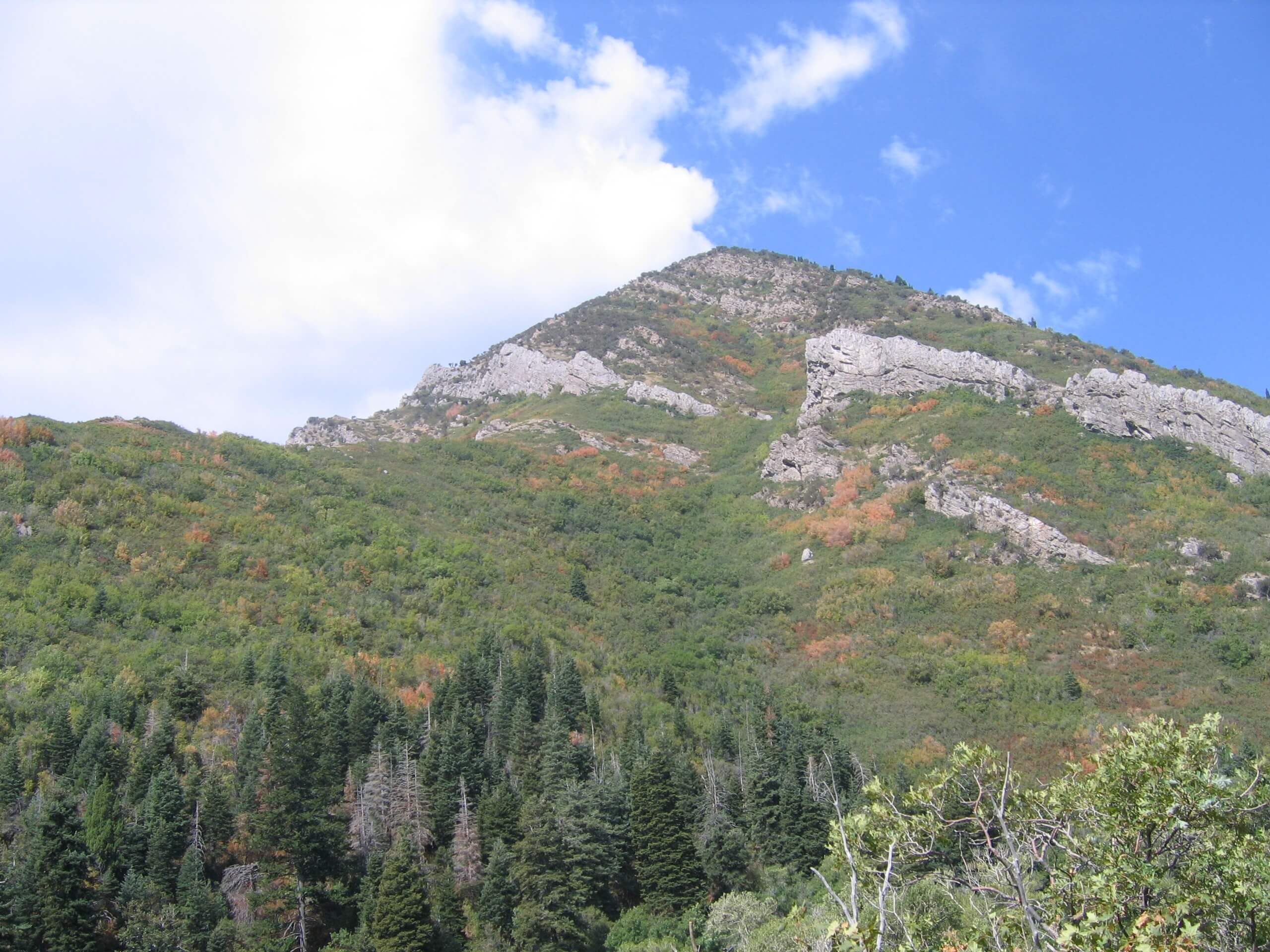 Crestwood Gulch Loop