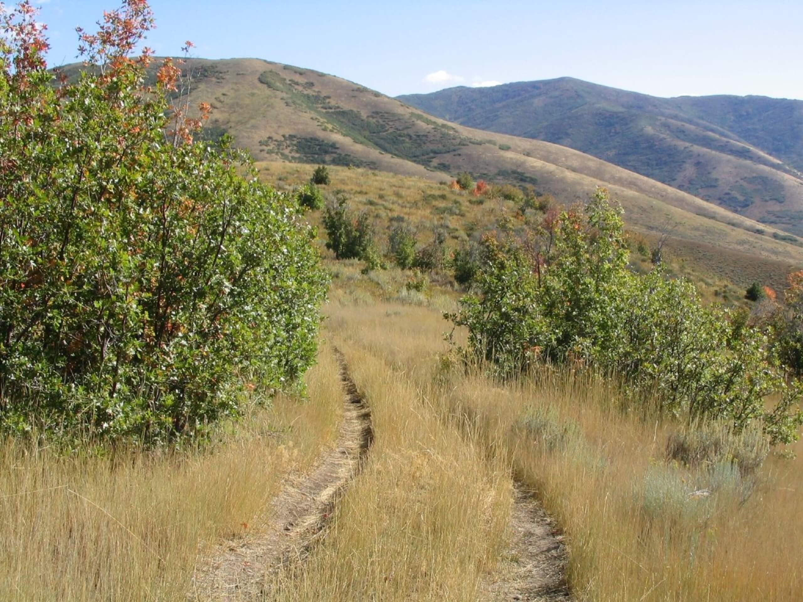 Emigration Canyon Miners Trail