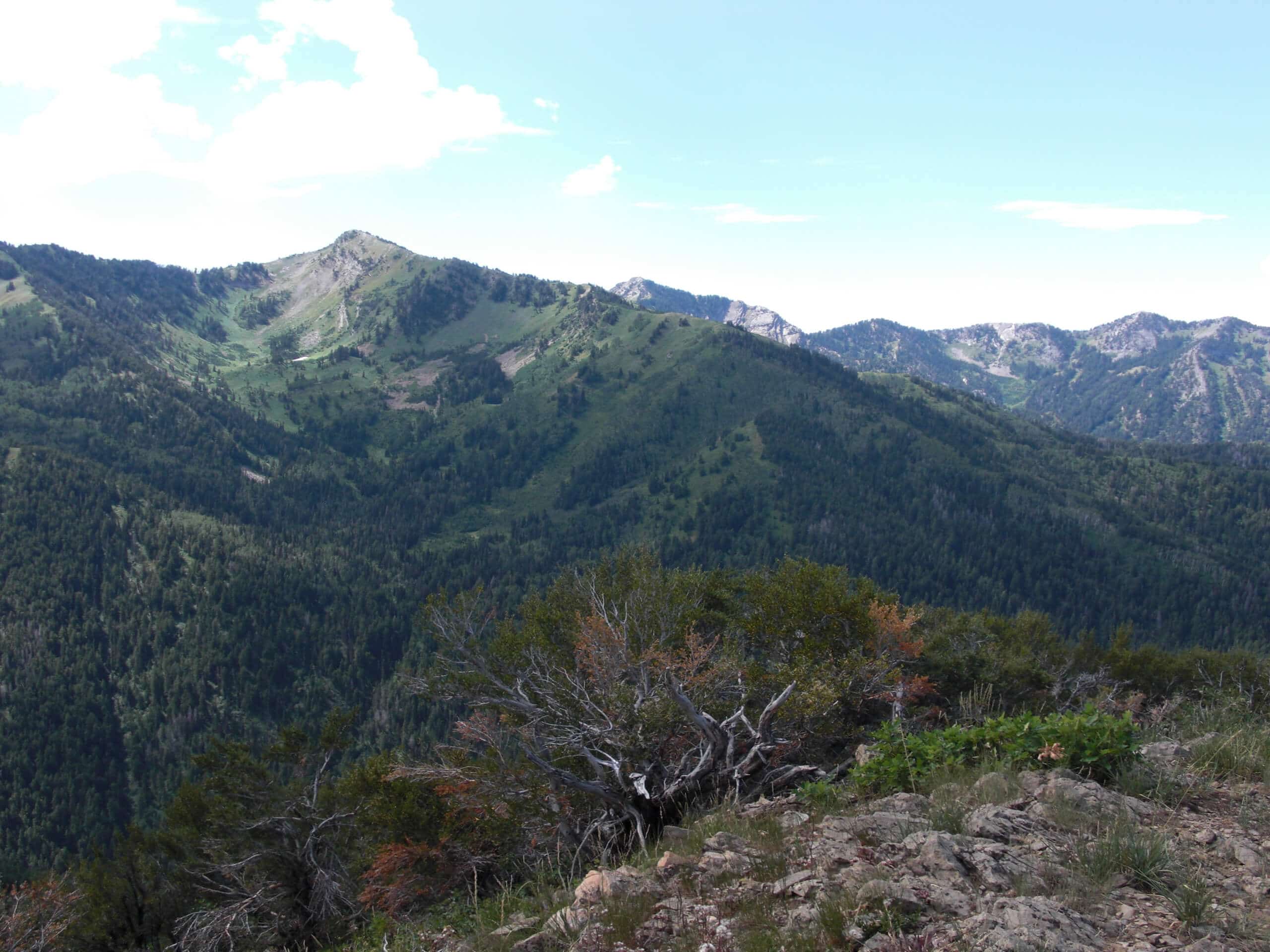 Gobblers Knob via Alexander Basin