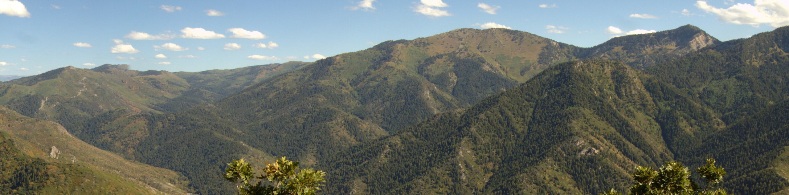 Grandeur Peak Trail- West Face