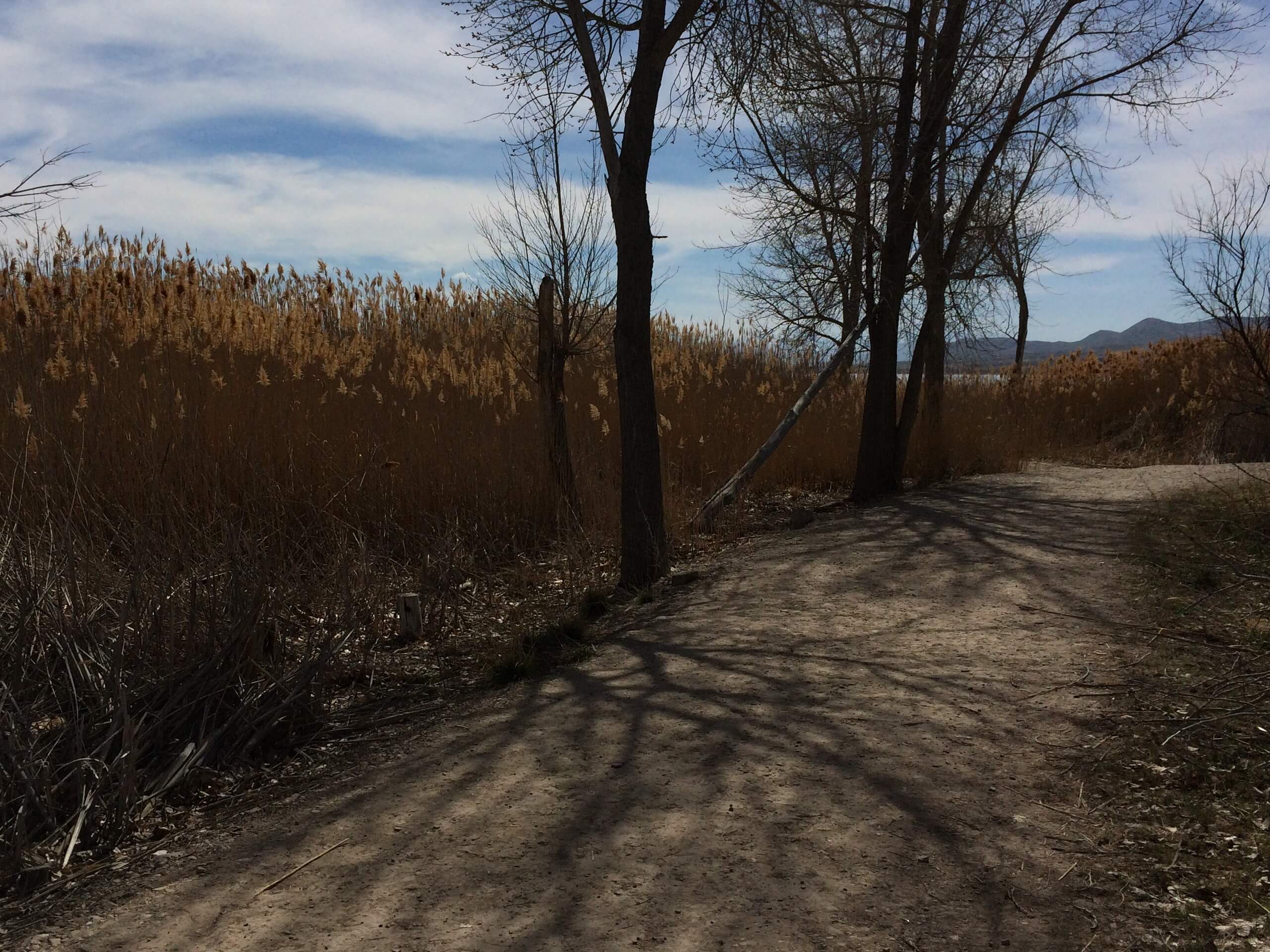 Jordan River Parkway Trail: Murray Section