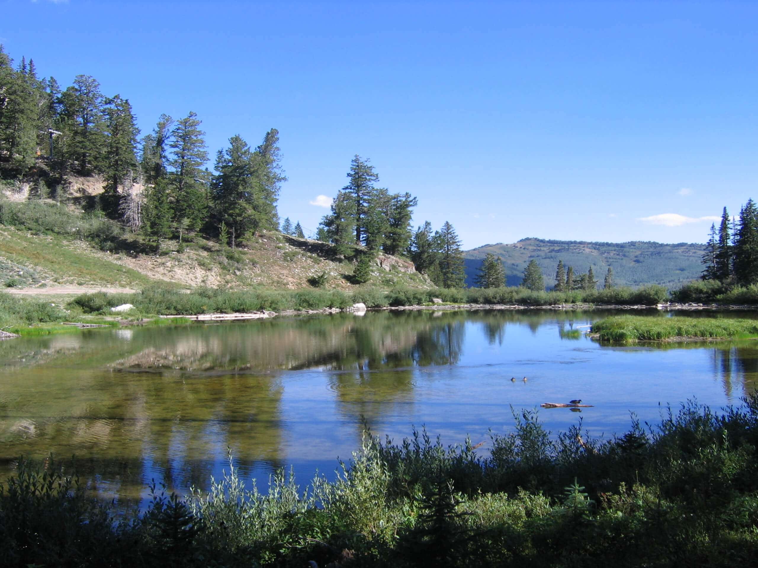 Lake Solitude Trail