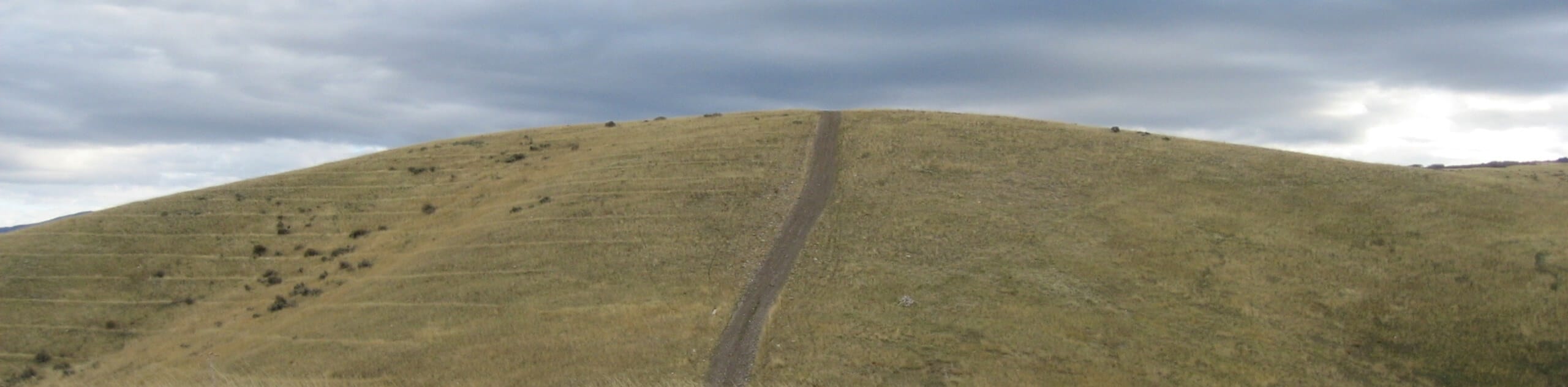 Meridian Peak via Ensign Peak Trailhead