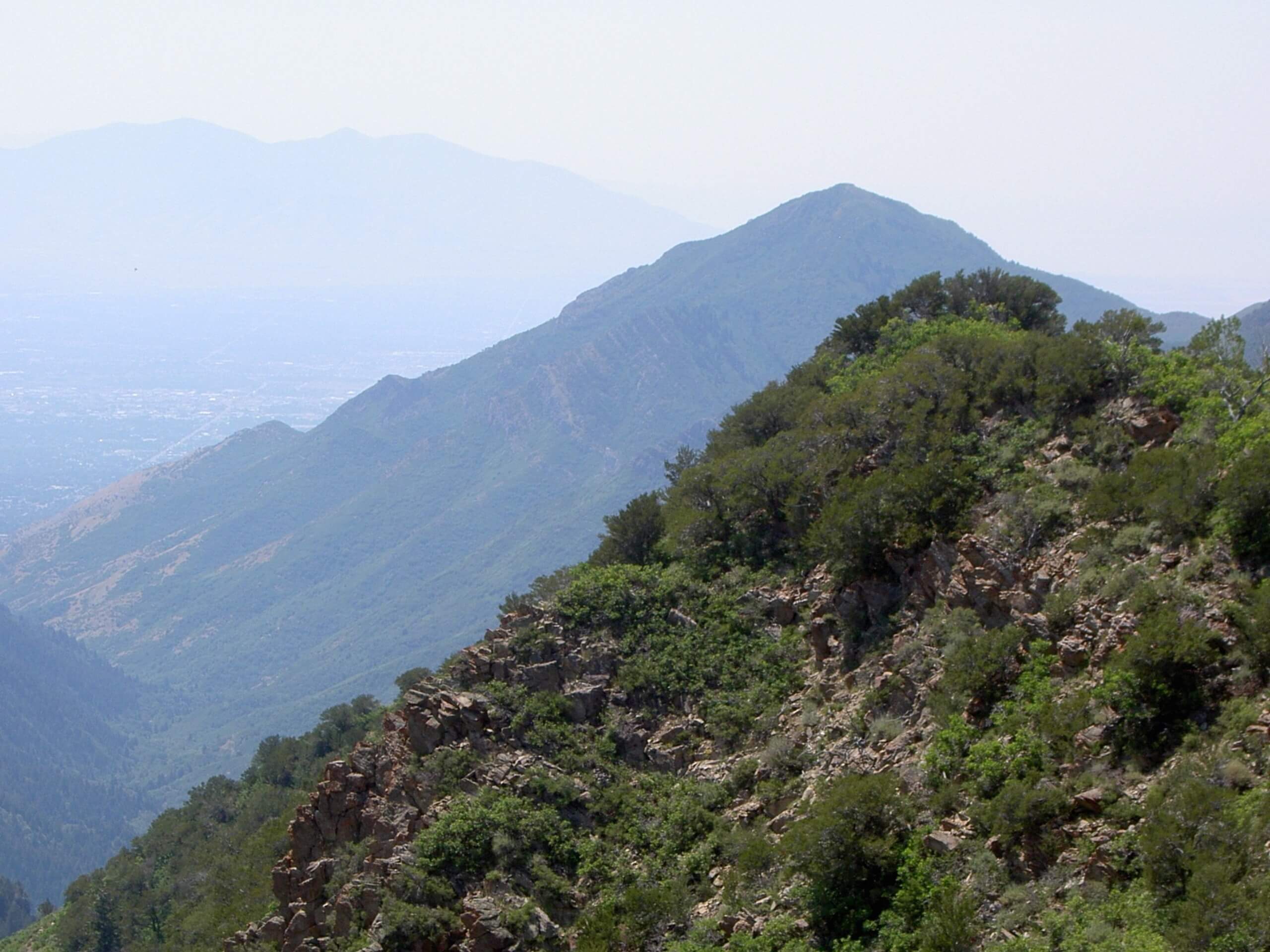 Millvue Peak Trail
