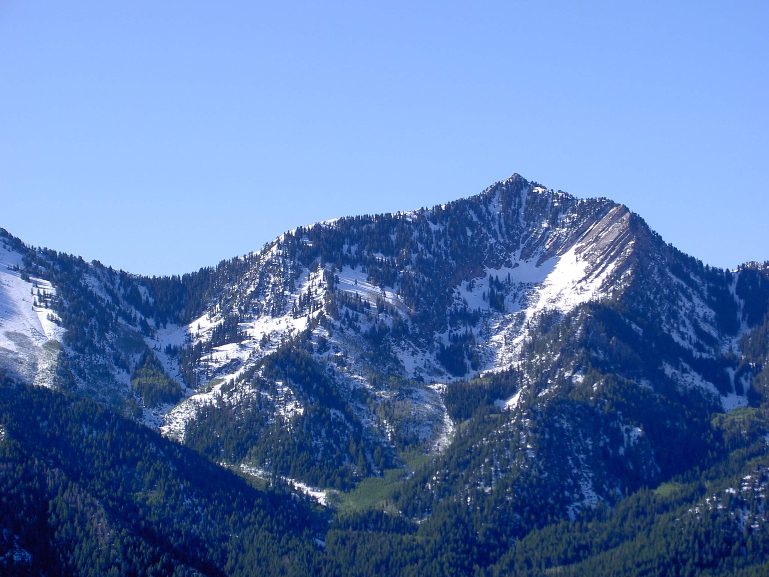 Mount Raymond via Alexander Basin Trail