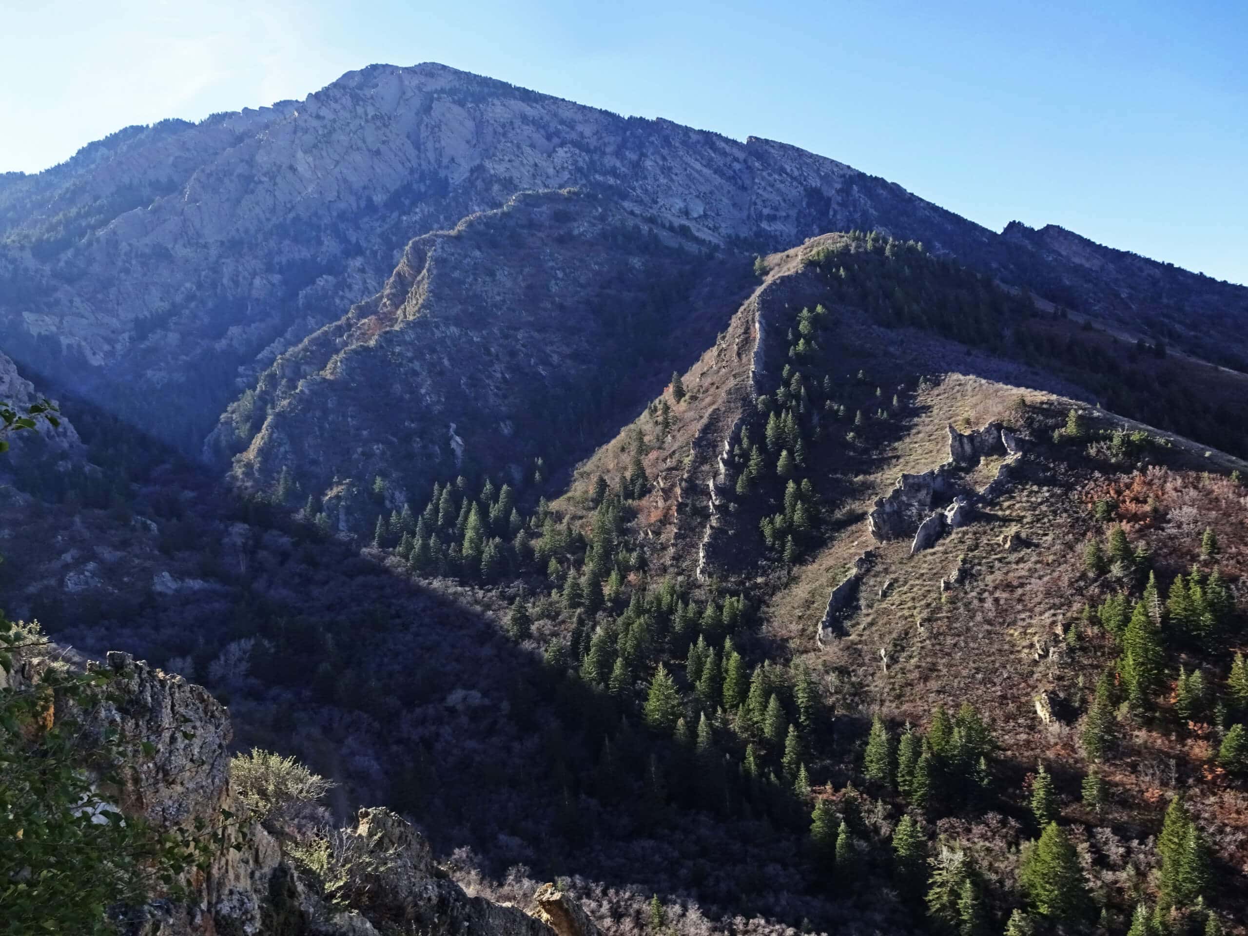 Neffs Canyon Trail