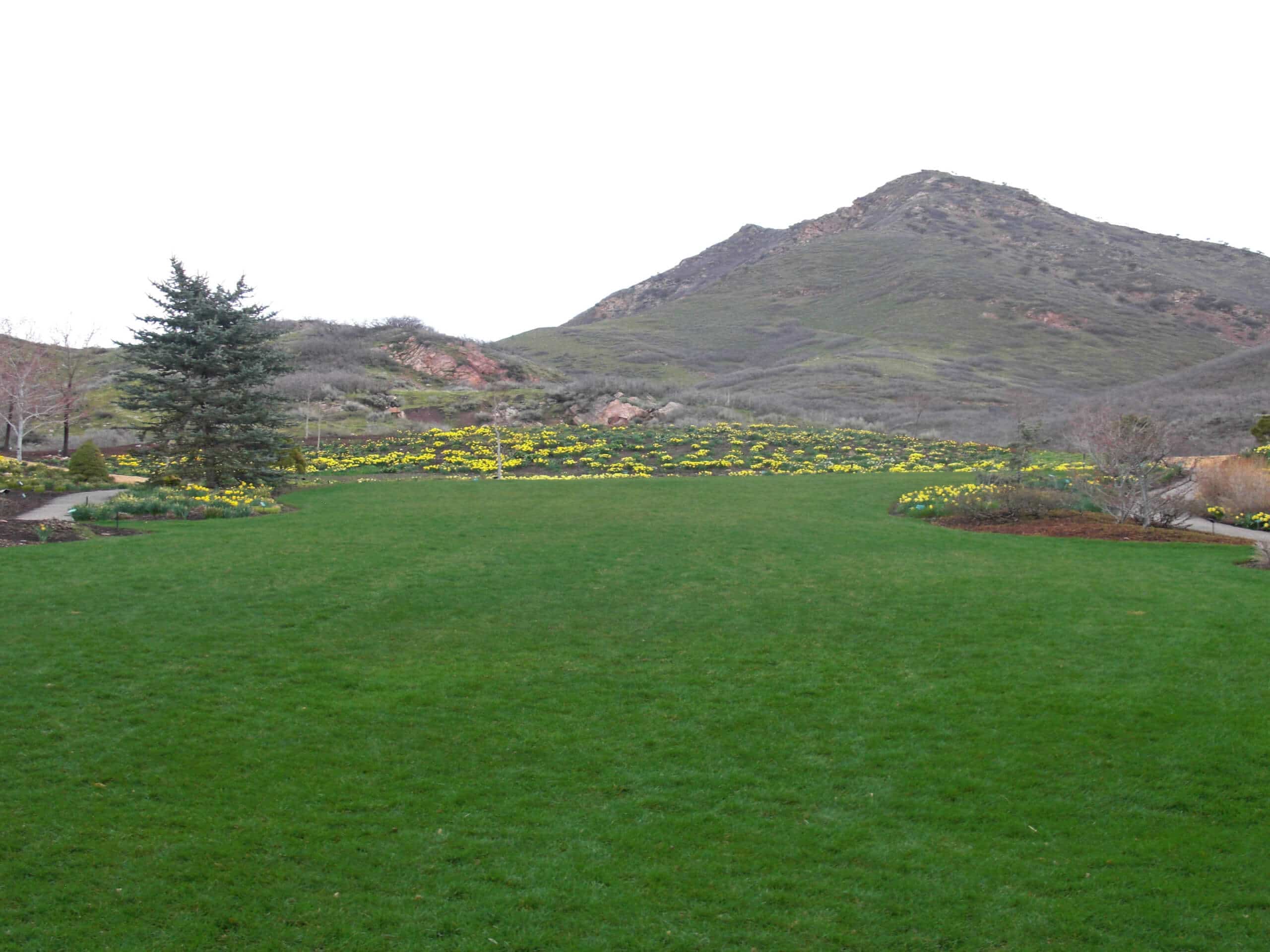 Red Butte Garden Small Loop