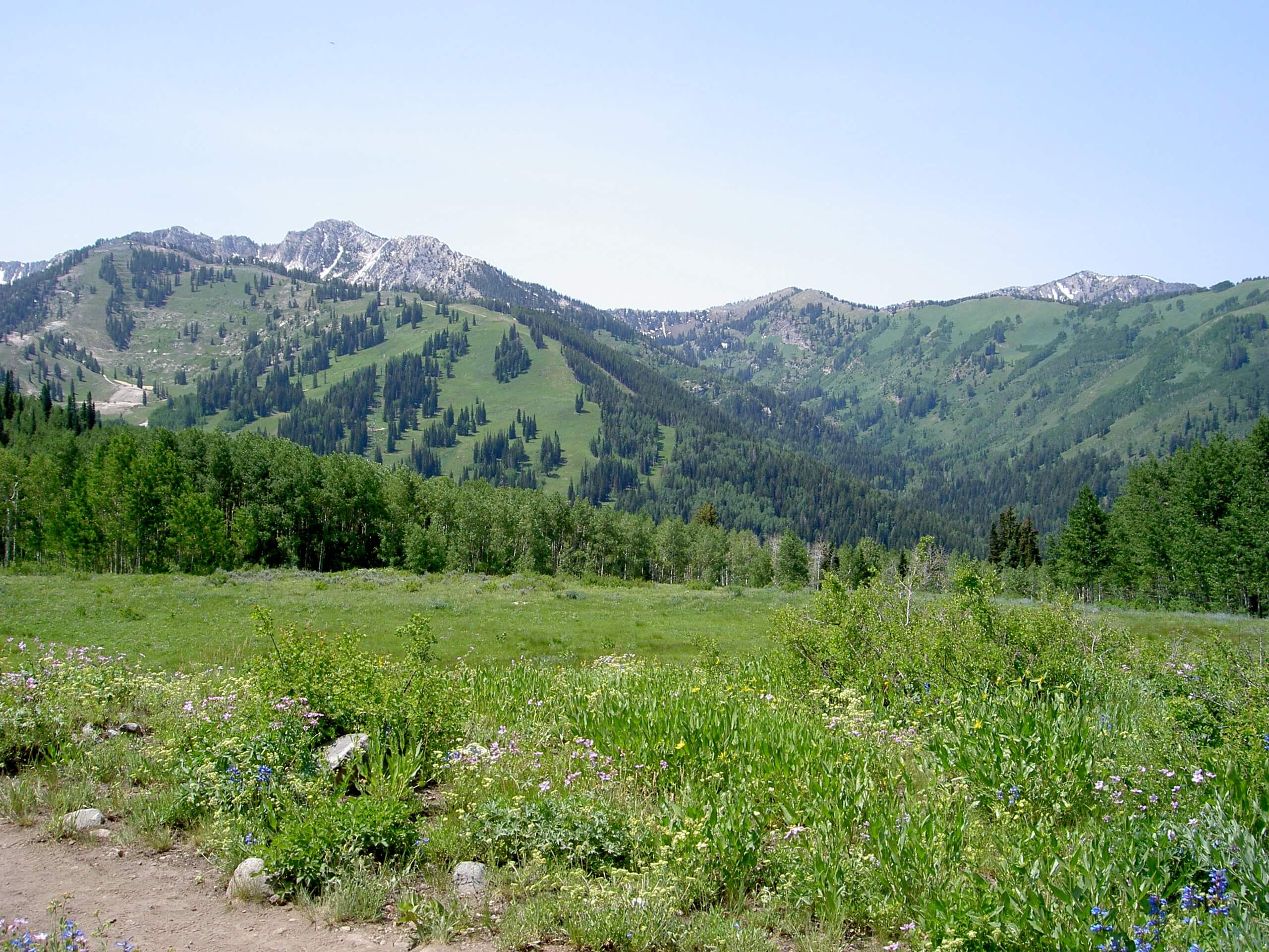 Solitude to Beaver Pond Trail