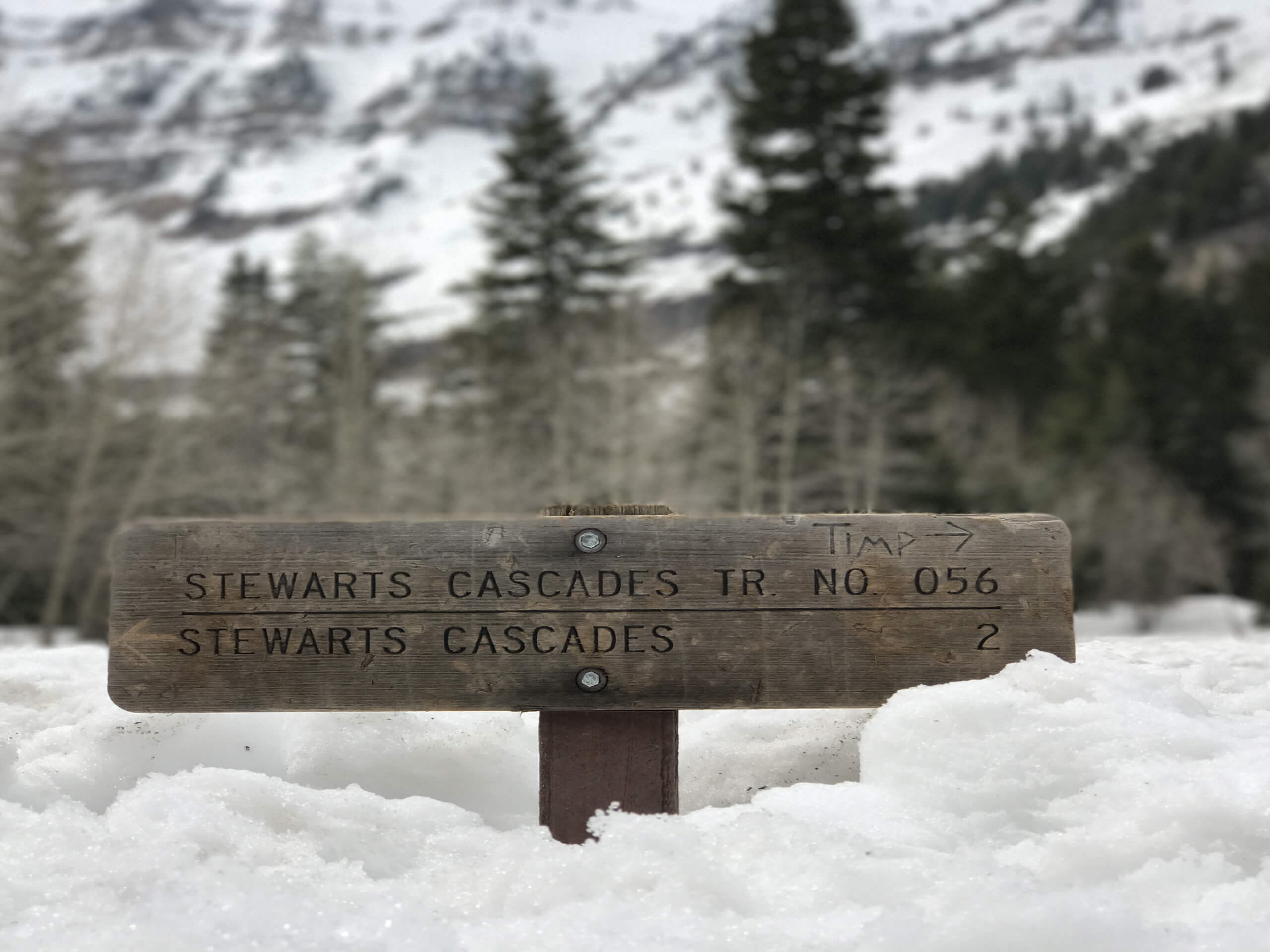 Stewart Cascade Trail #056