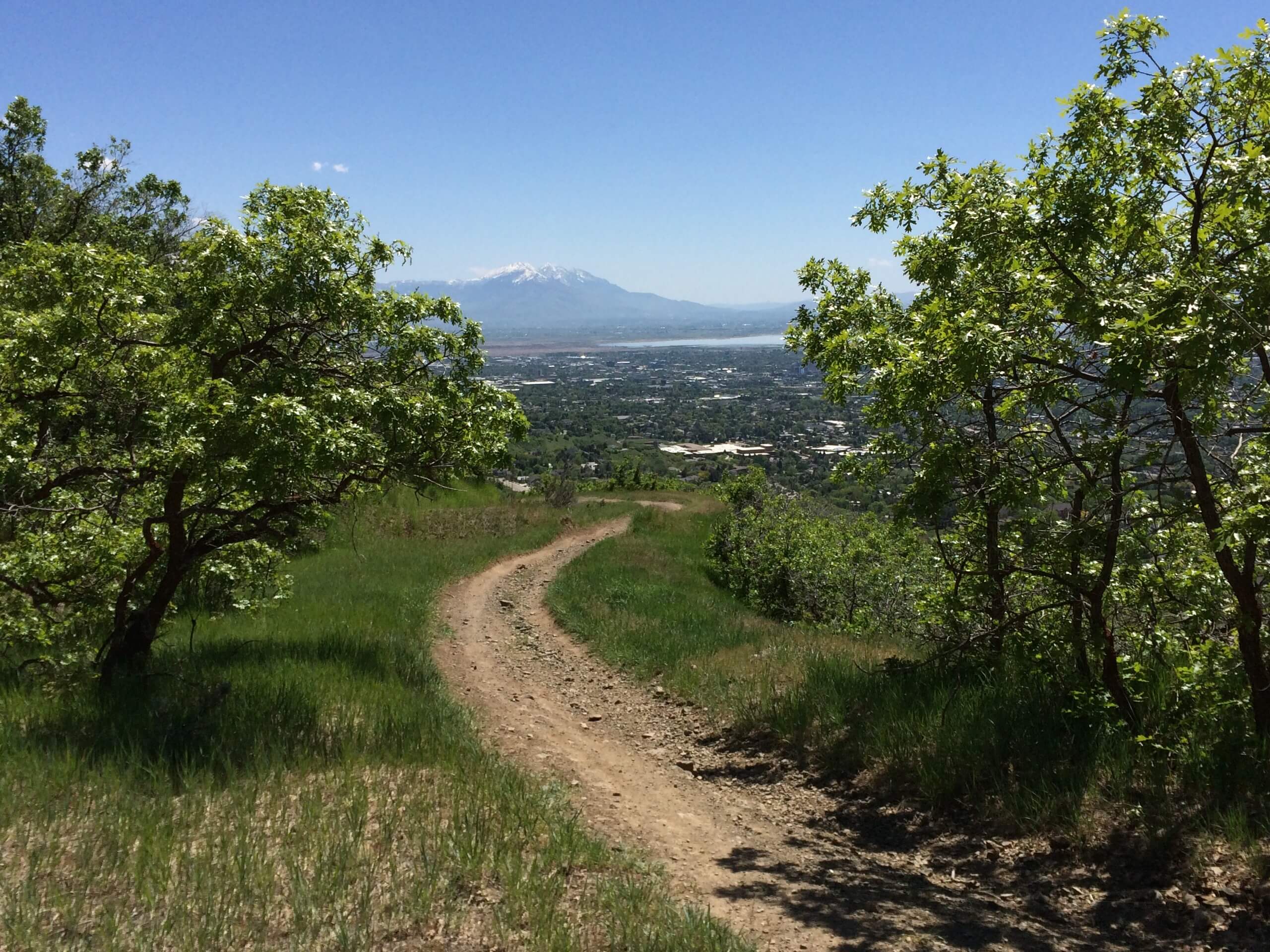 Bonneville Shoreline Trail: Mount Ogden Section