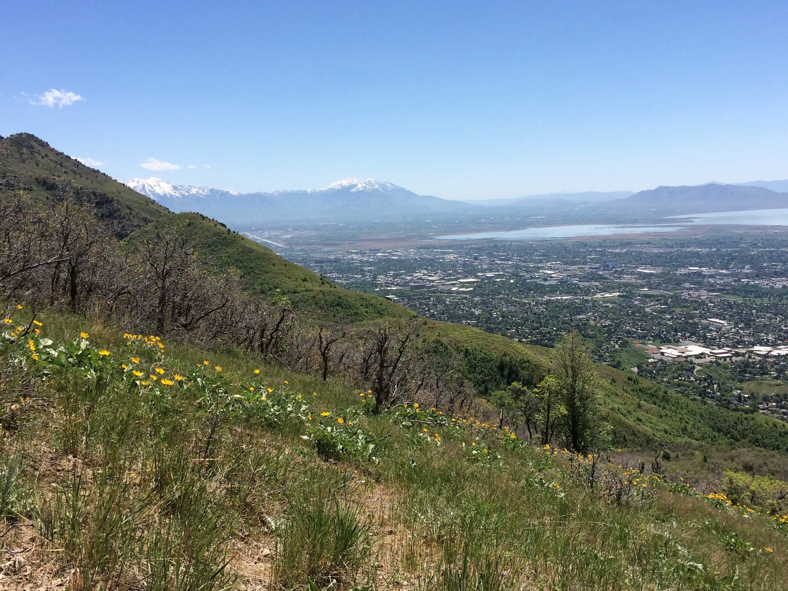 The Great Western Trail Loop