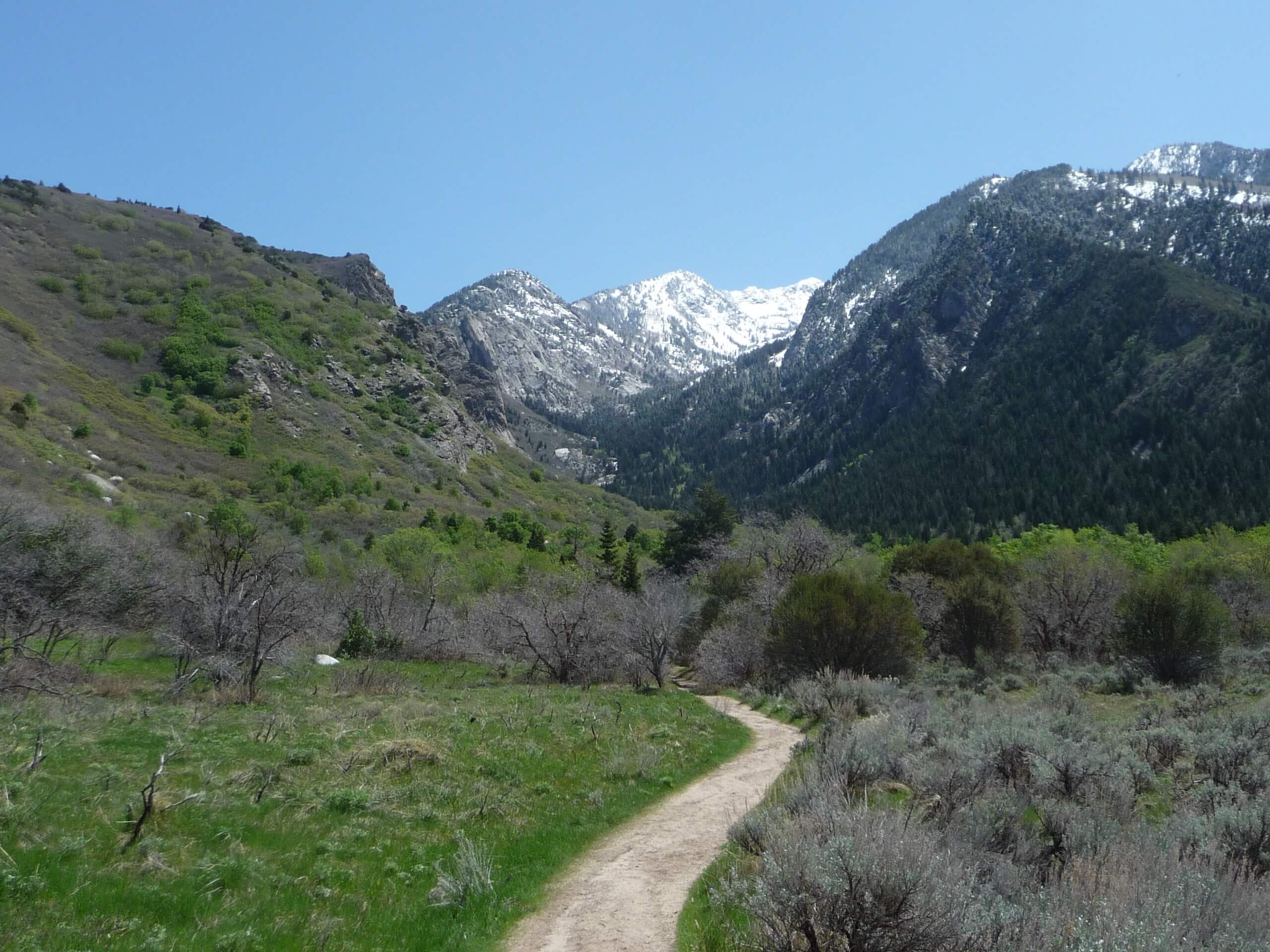 Upper Bells Canyon Trail