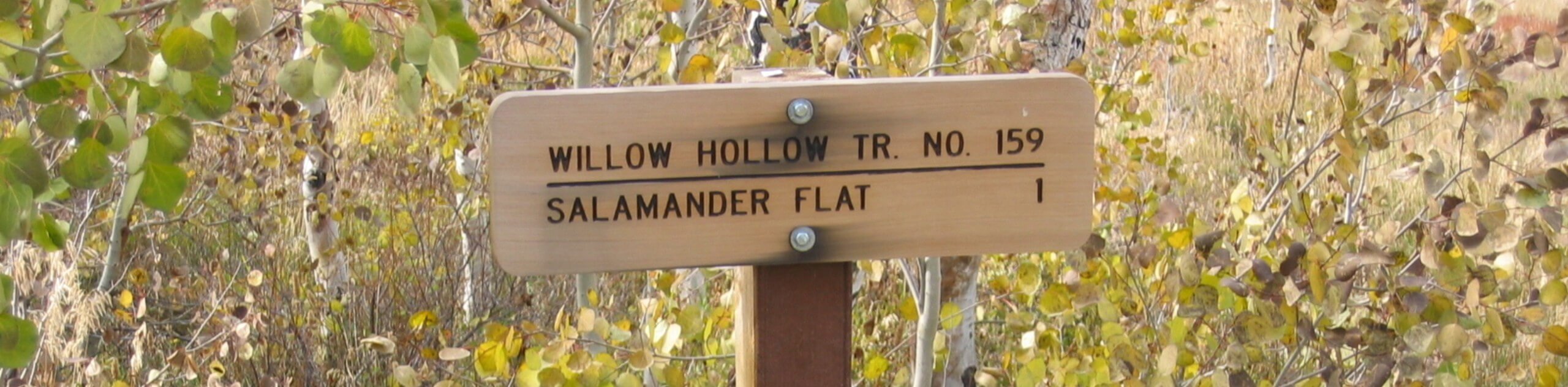 Willow Hollow, Ridge, and Pine Hollow Trail