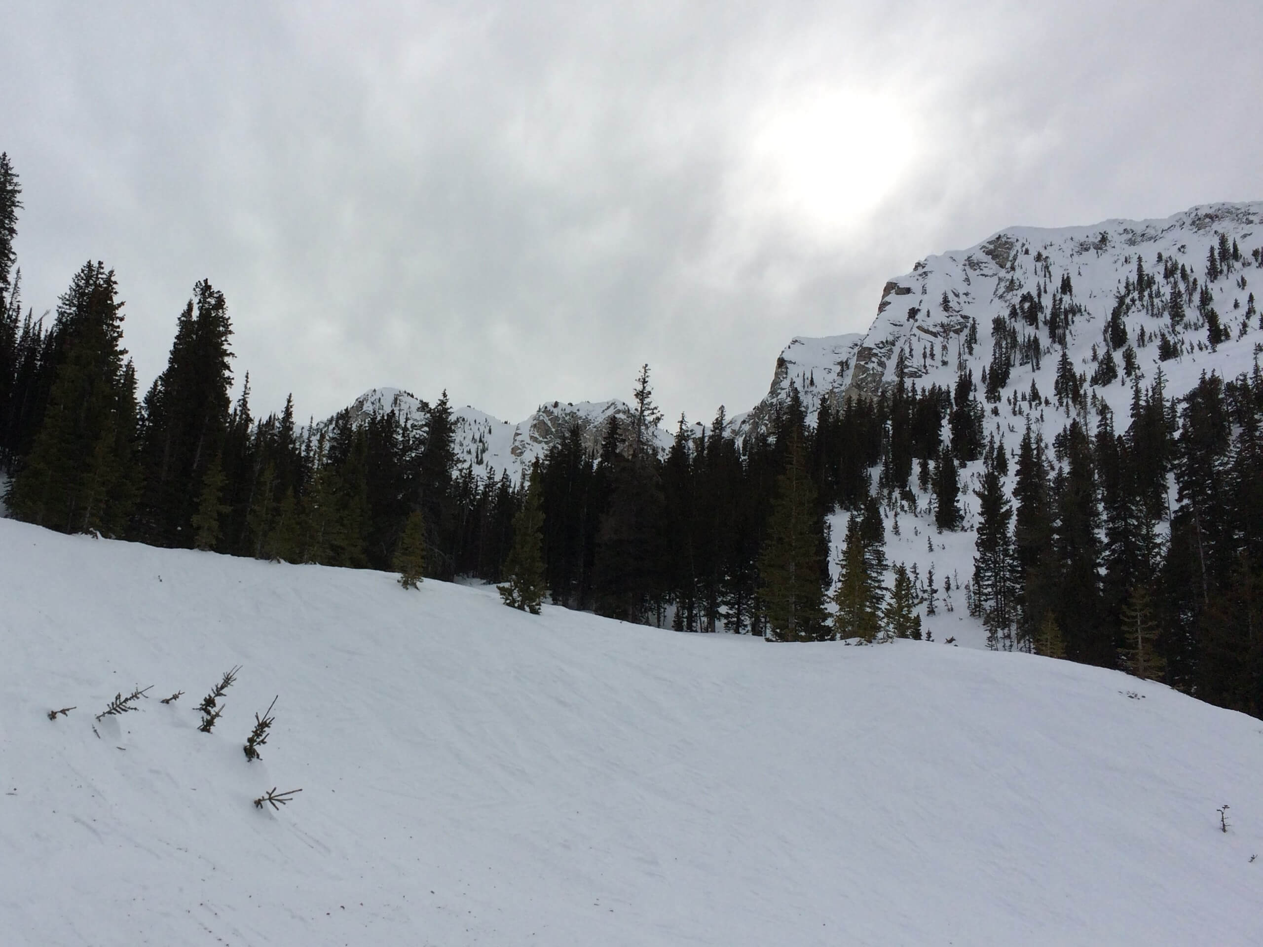 The Honeycomb Cliffs Trail