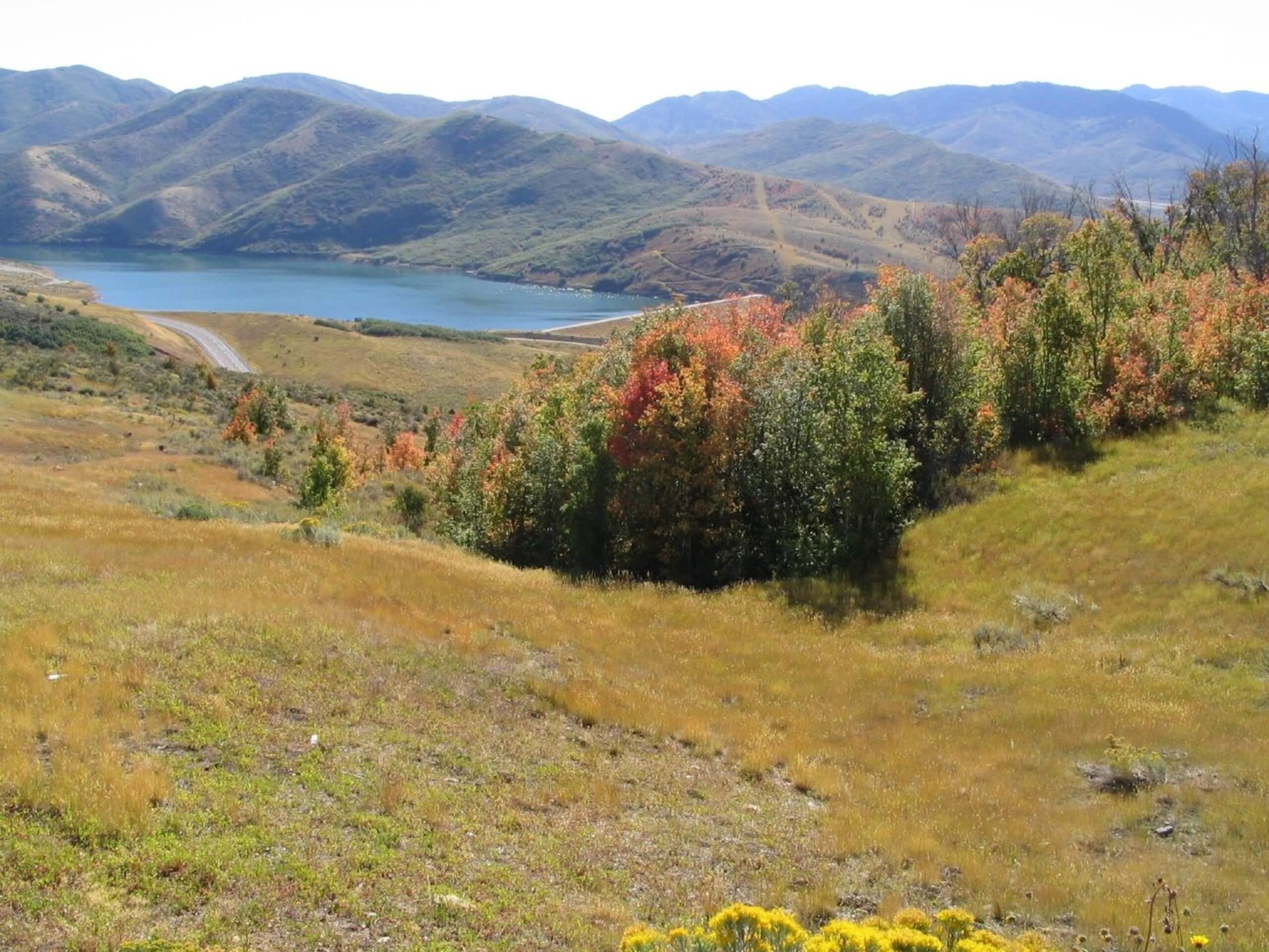 The Little Mountain Trail